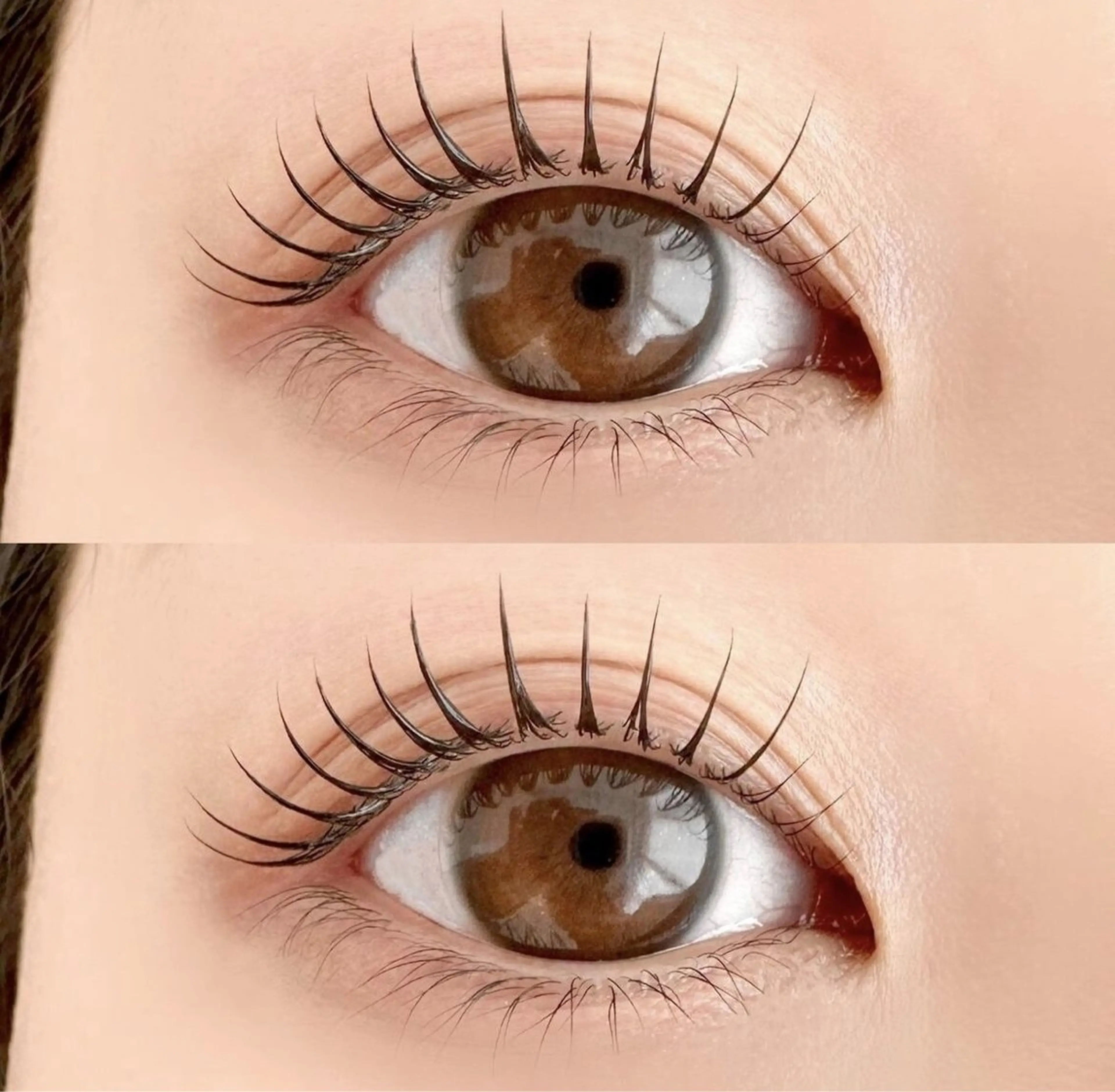 まつ毛パーマorパリジェンヌ（トリートメント付き）の写真