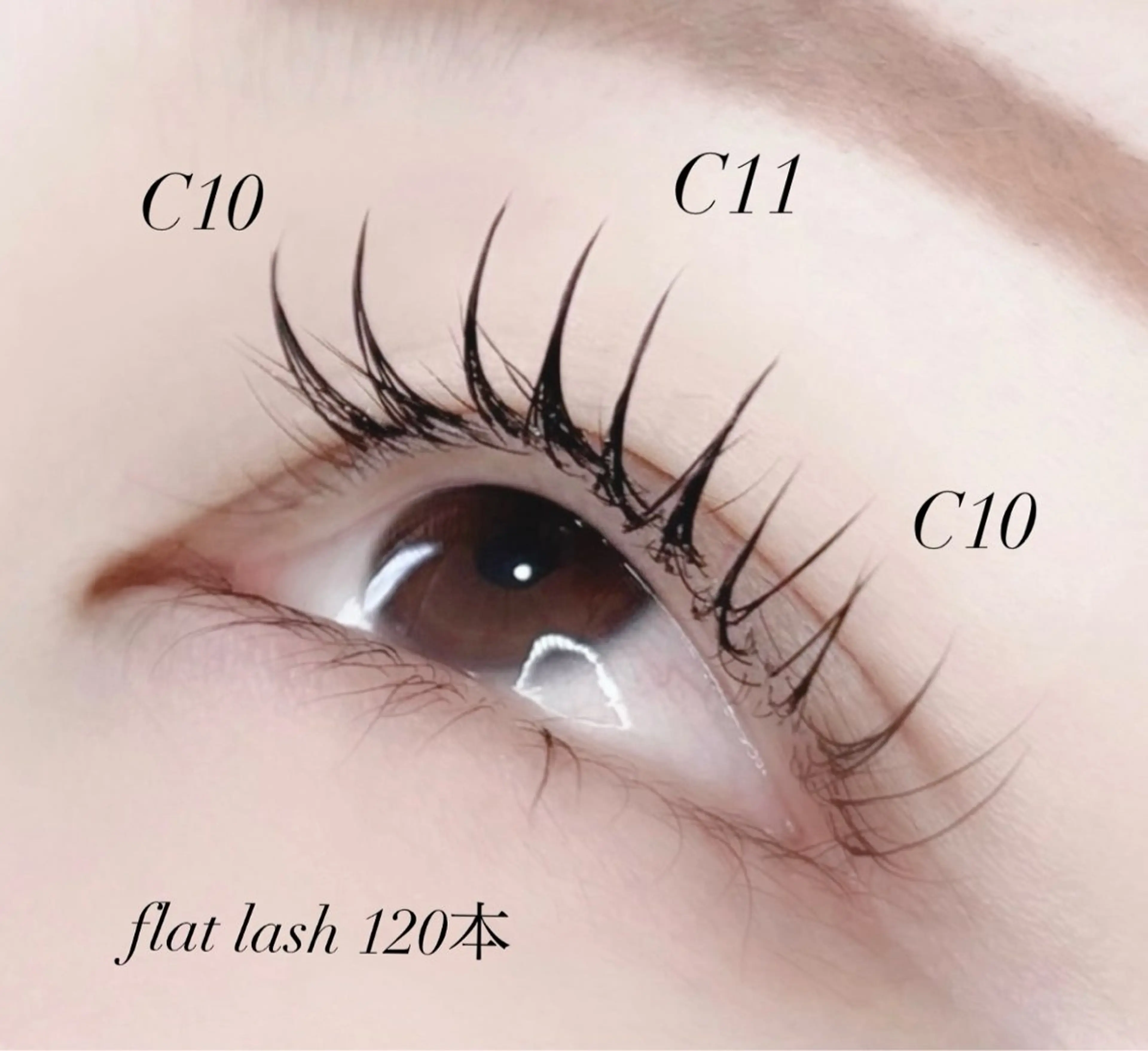 LEDフラットラッシュ120本＜オフ込み＞¥5000の写真