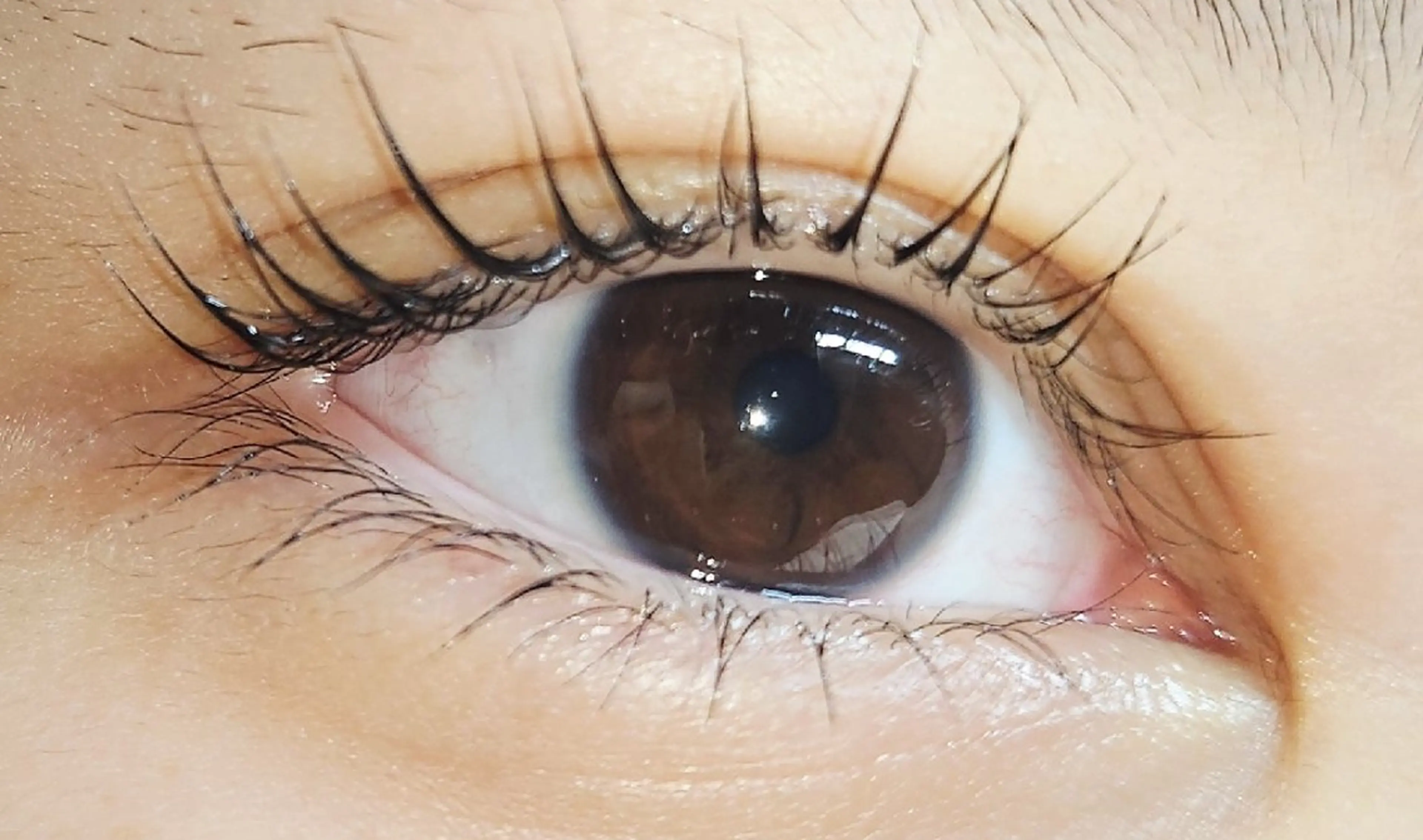 マツエク・マツパ ケラチンラッシュリフト 束感まつ毛 マツパ Bijou. 【junjun.】のネイルデザイン