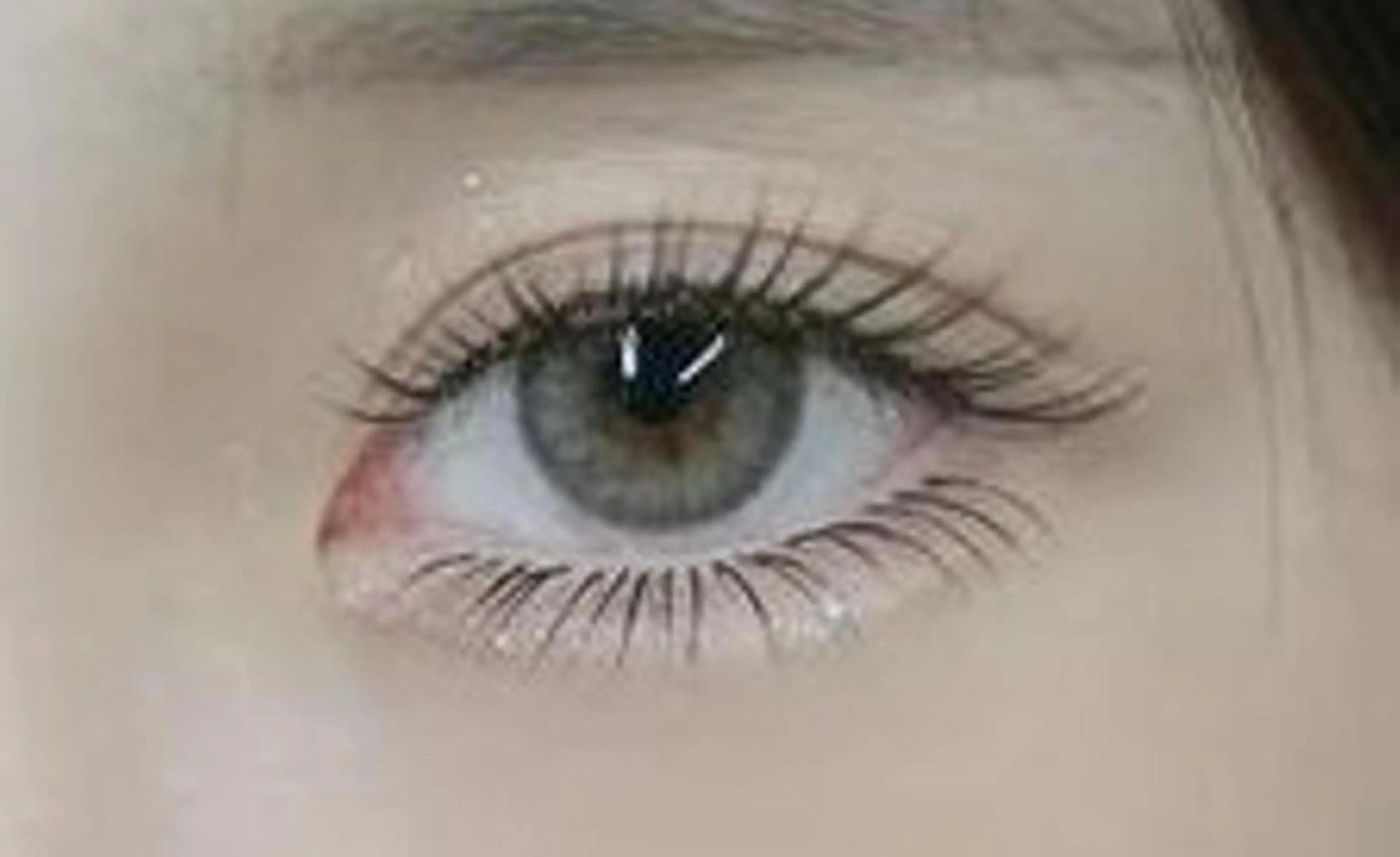 マツエク・マツパ まつげパーマ専門店 FOIのマツエク・マツパデザイン