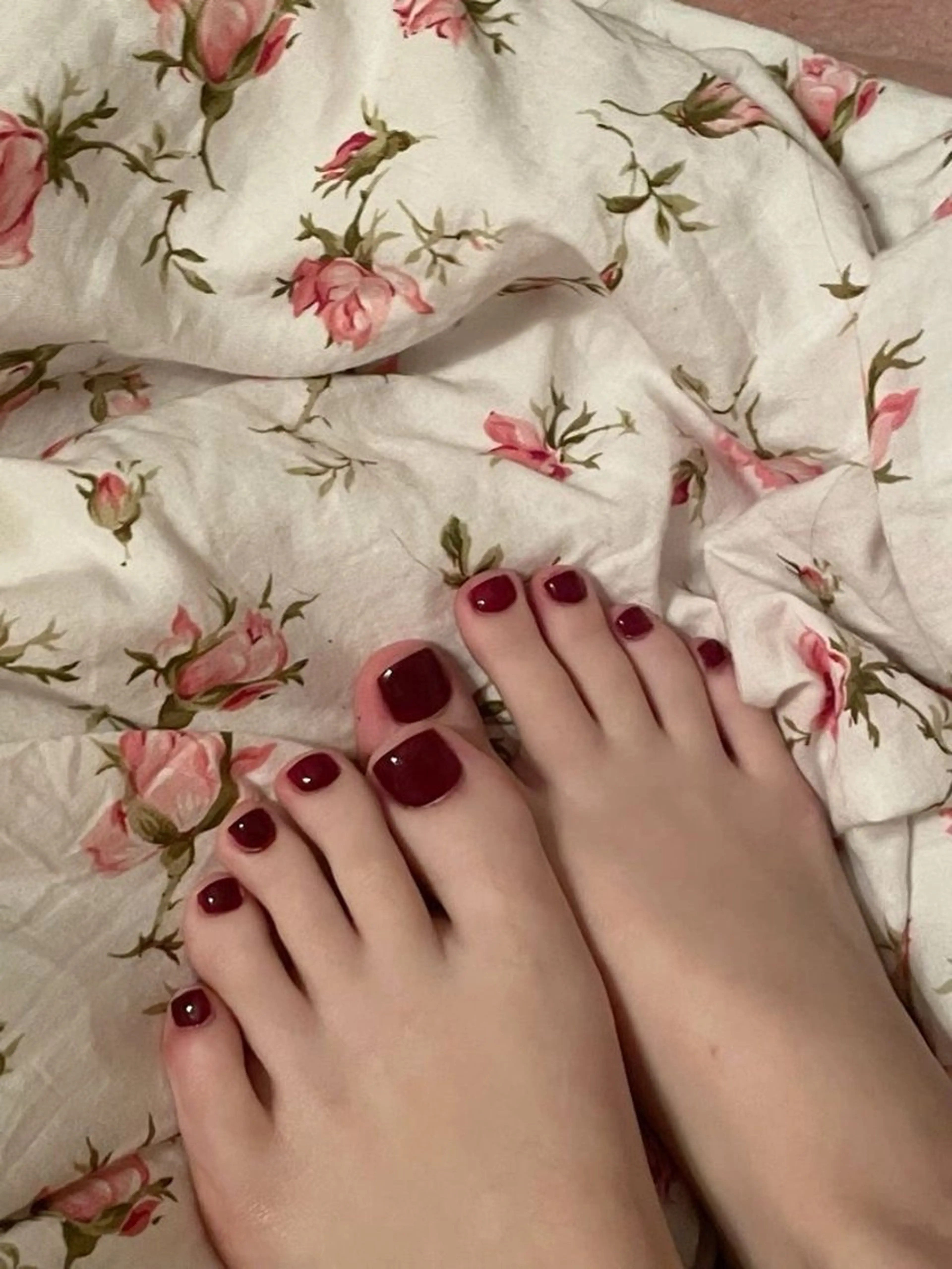 (オフあり)   フット ワンカラーの写真