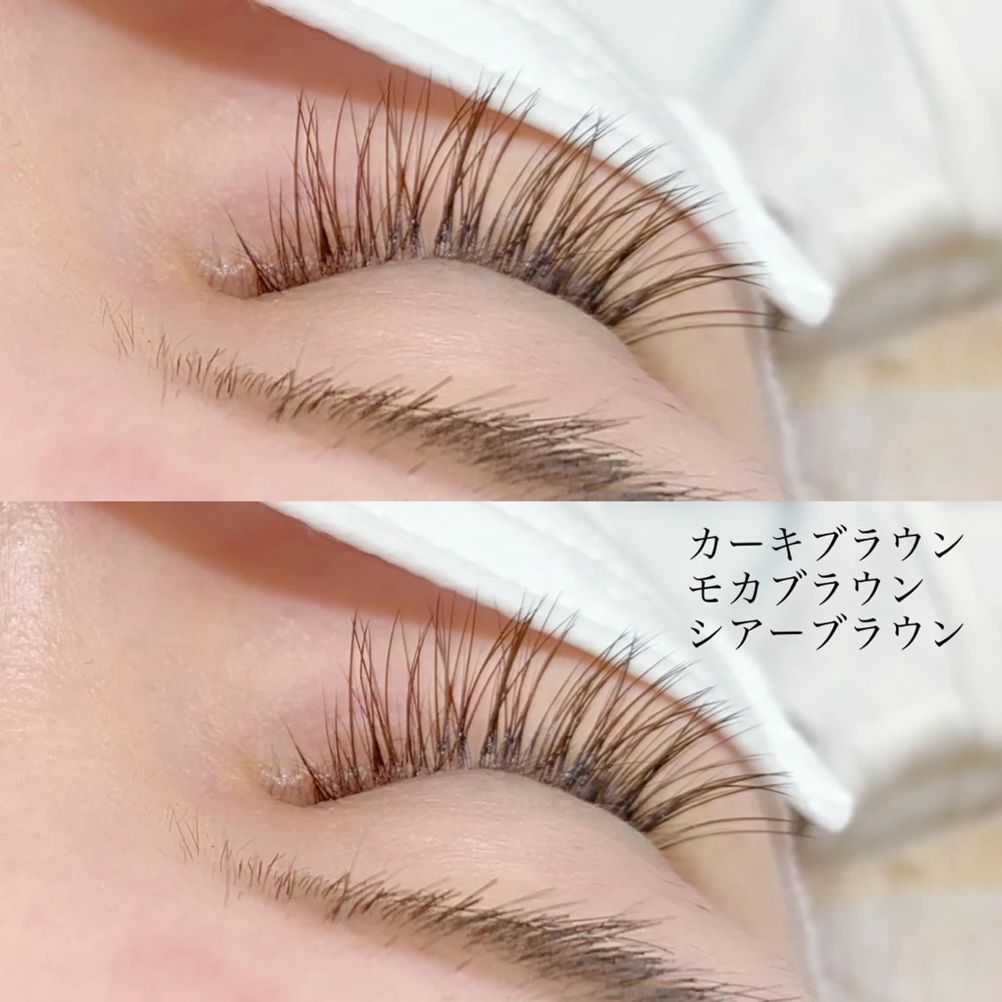 マツエク・マツパ フラットラッシュ Tomato 藤平のマツエク・マツパデザイン