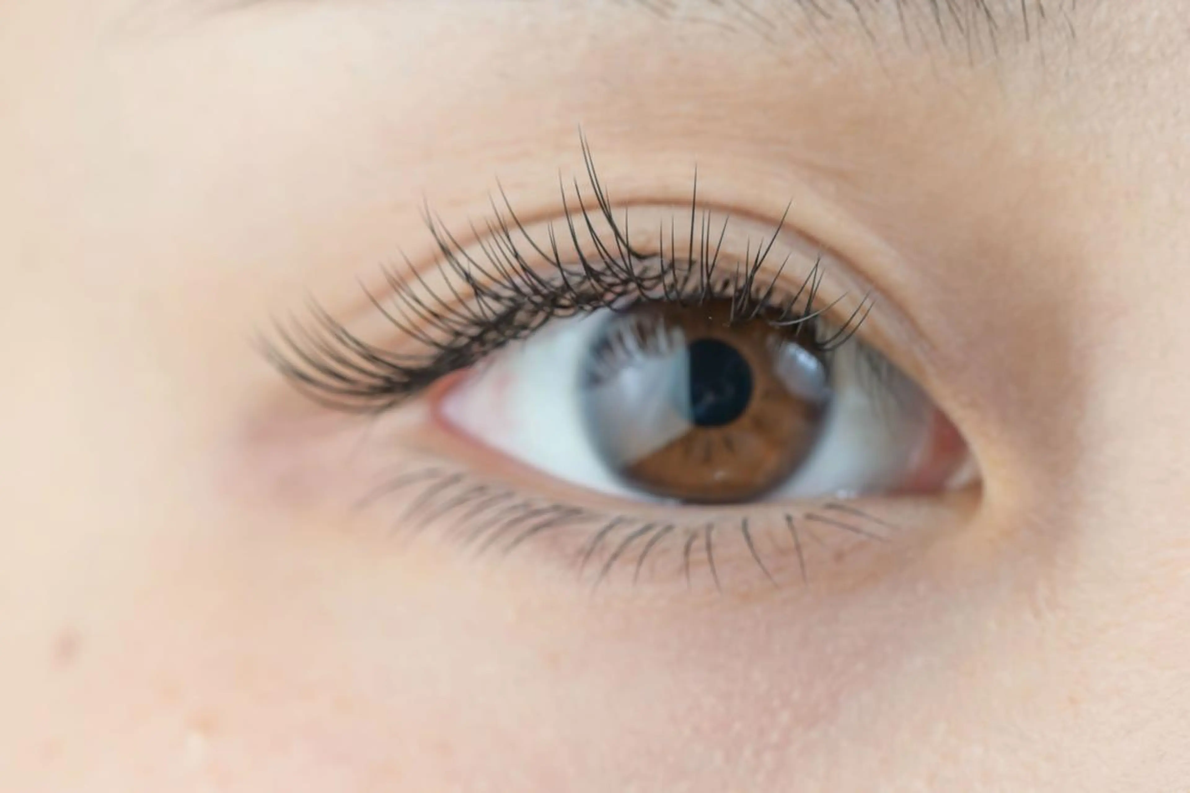 マツエク・マツパ セーブル マツエク アイサロン フェア 海老名店のマツエク・マツパデザイン