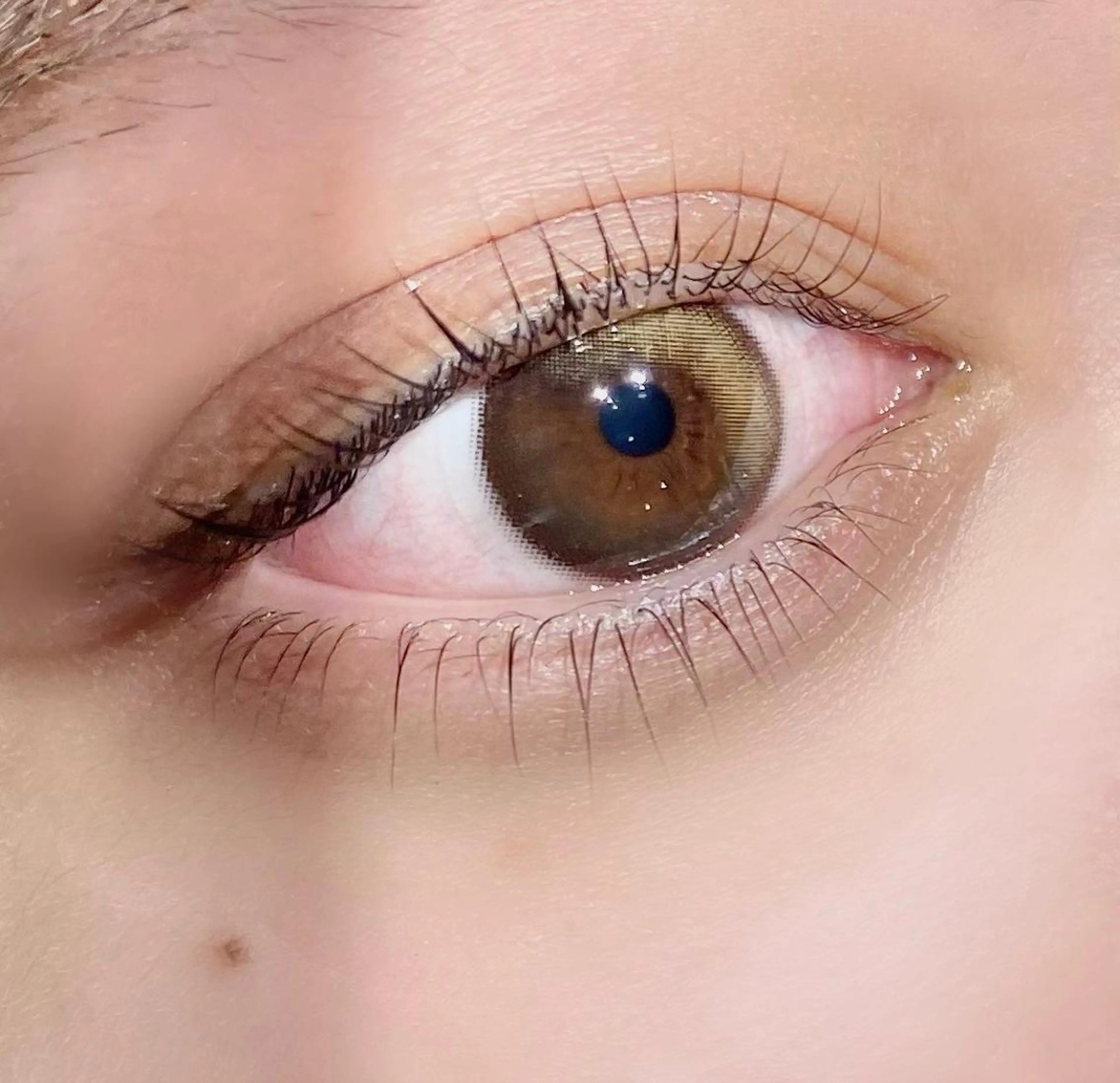 マツエク・マツパ パリジェンヌラッシュリフト マツパ coast meiの眉毛・アイブロウイメージ