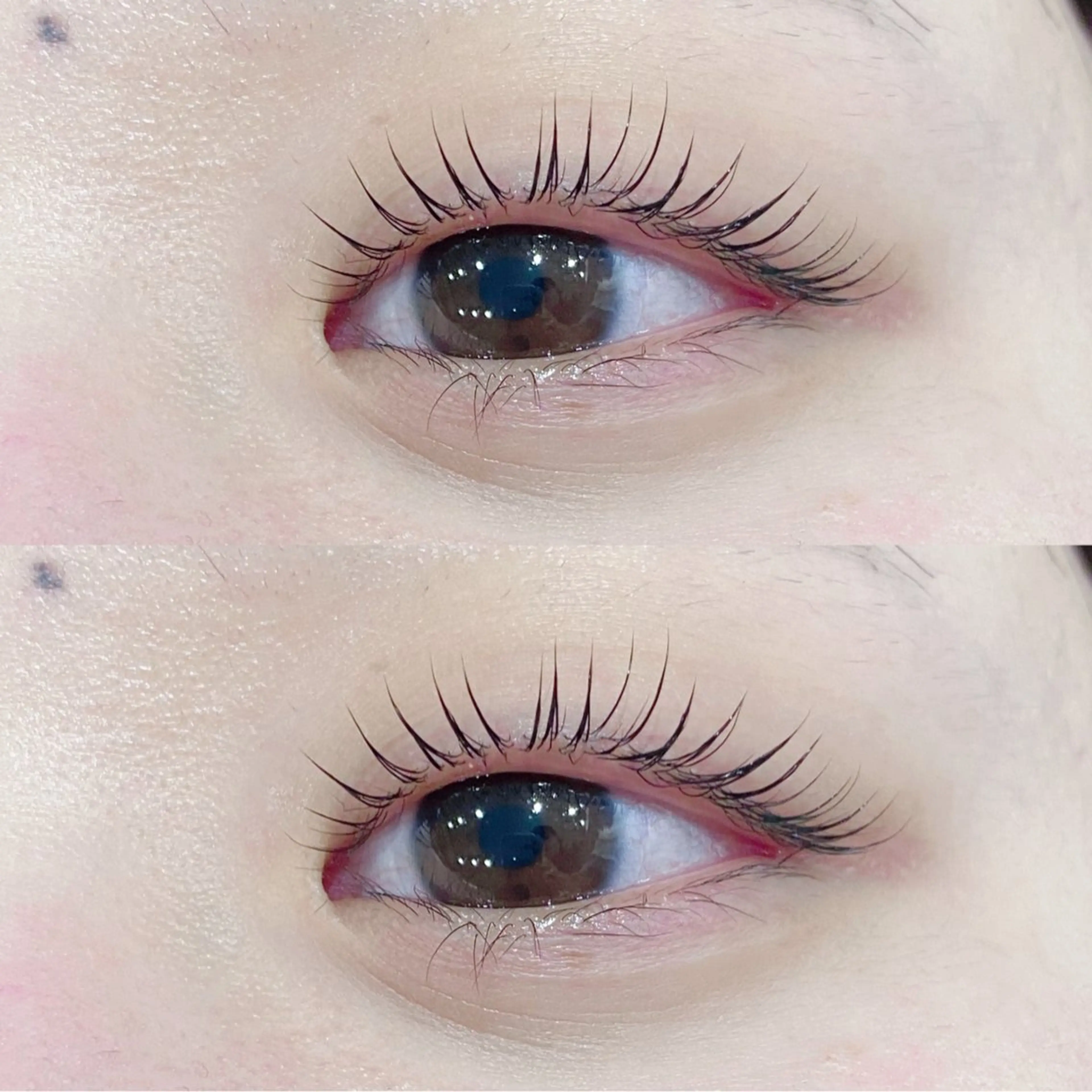 マツエク・マツパ gioia 根津のマツエク・マツパデザイン