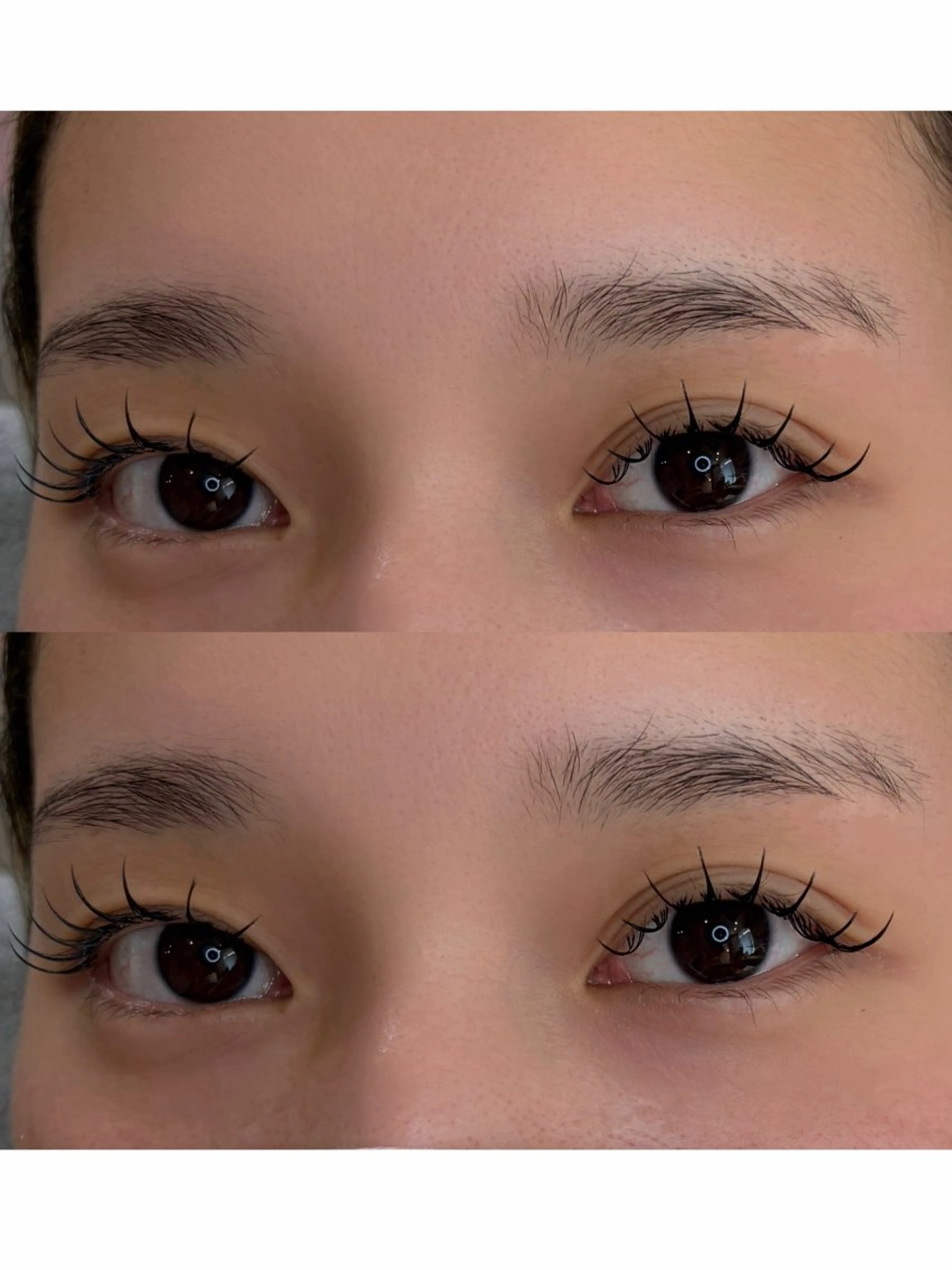 フラットラッシュ120本➕アイシャンプー🫧オフ+550円💛の写真