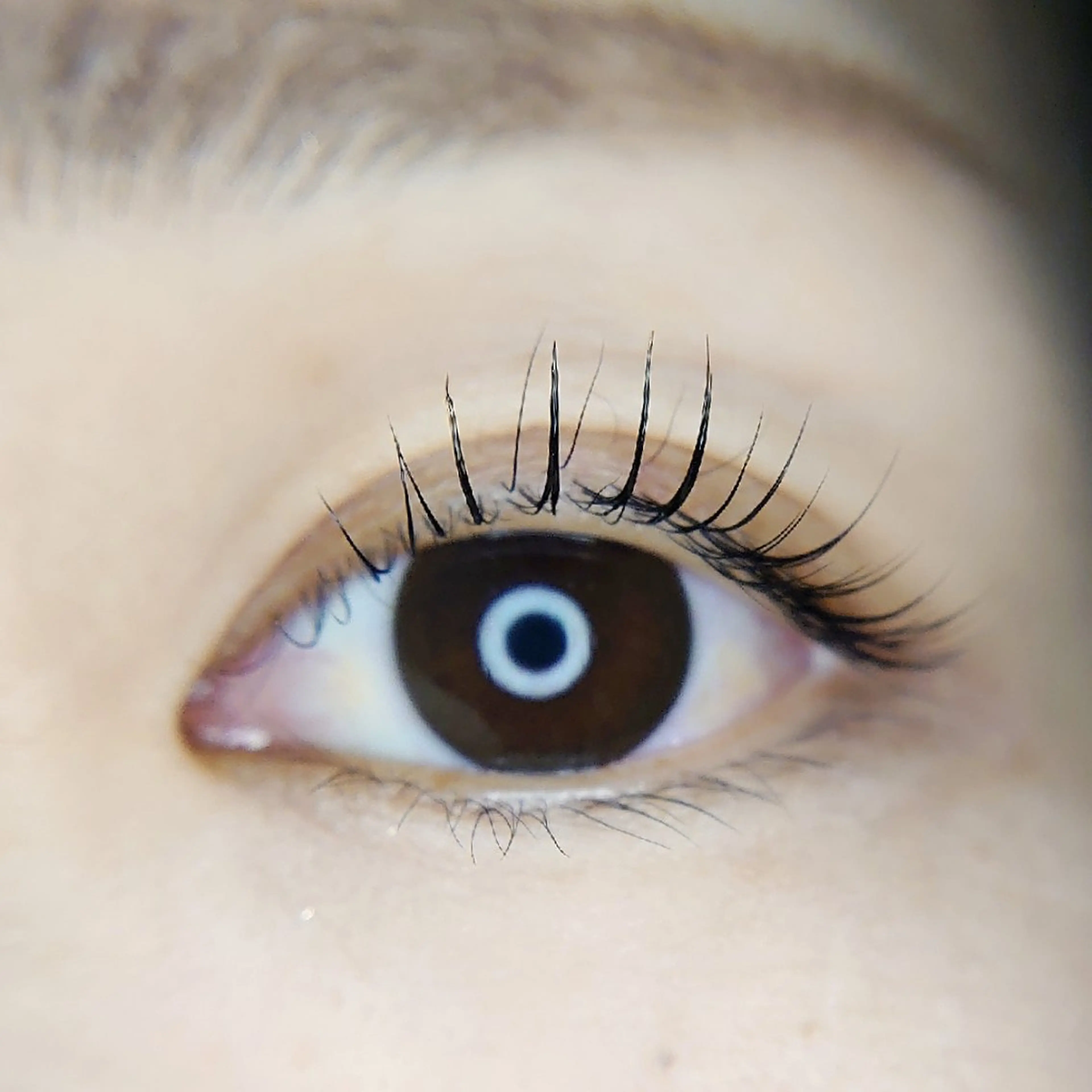 マツエク・マツパ Chelu TOMのマツエク・マツパデザイン