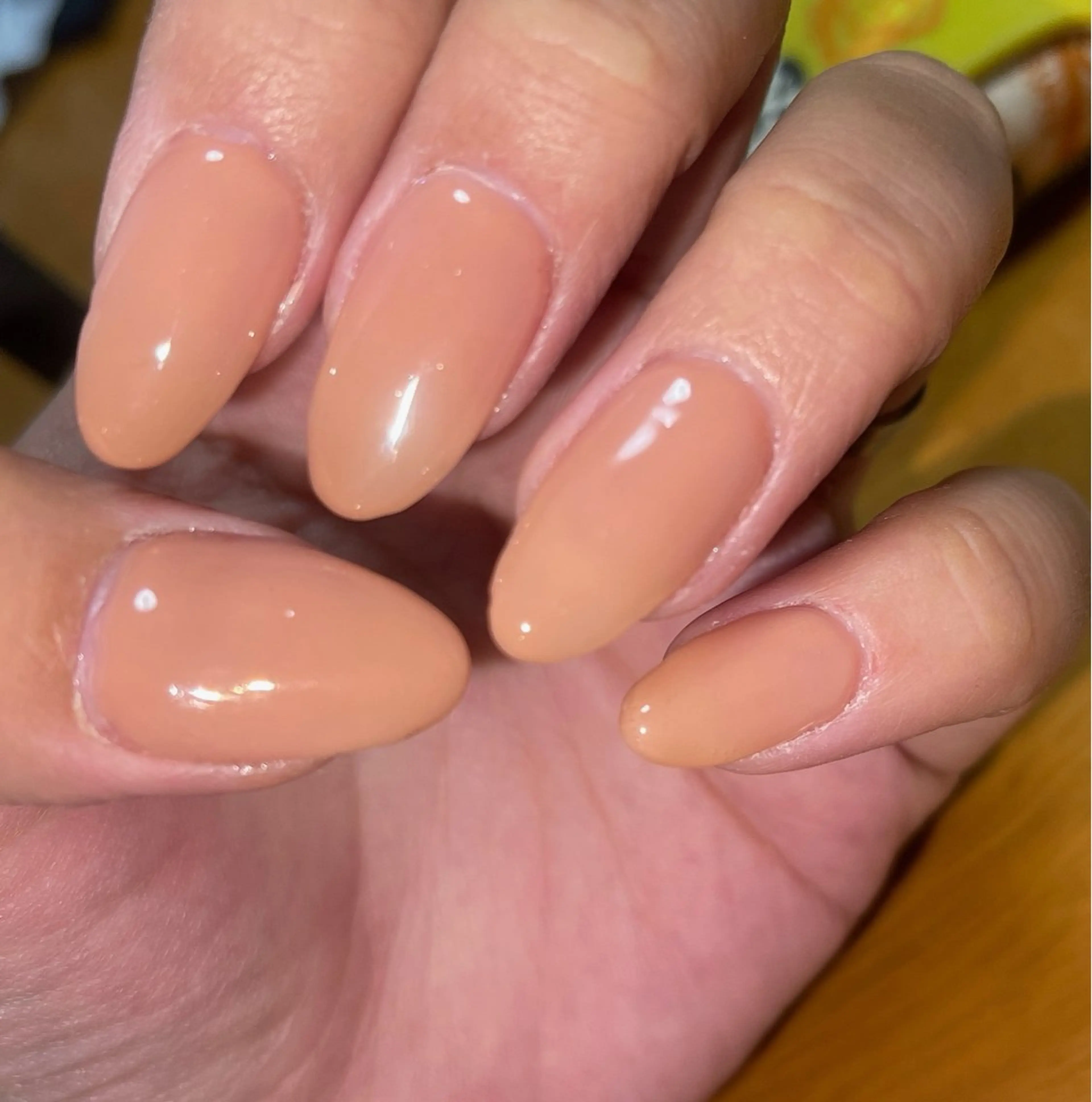 ワンカラーの写真