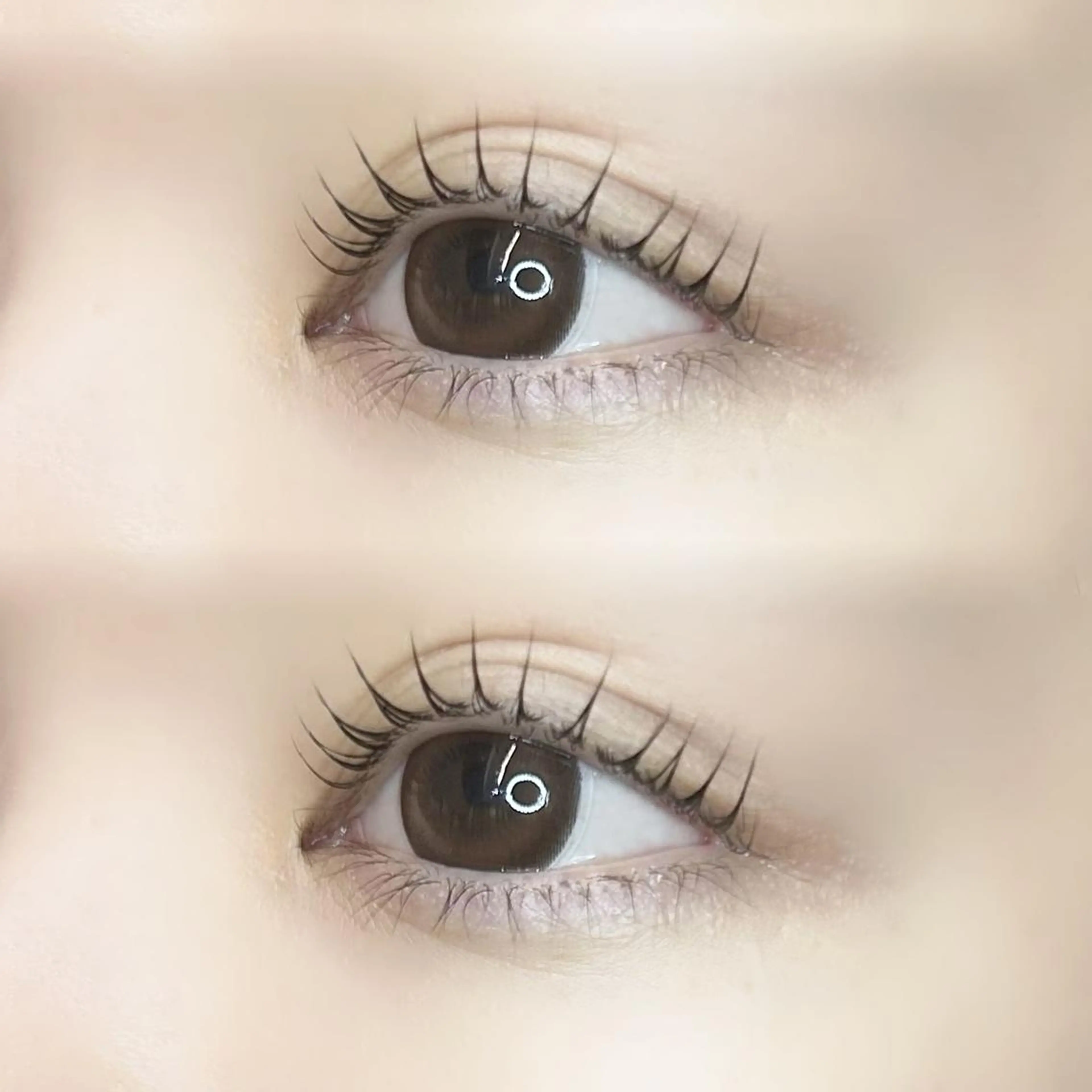 マツエク・マツパ パリジェンヌラッシュリフト 🦢✨fein. 原宿店✨🤍の眉毛・アイブロウイメージ