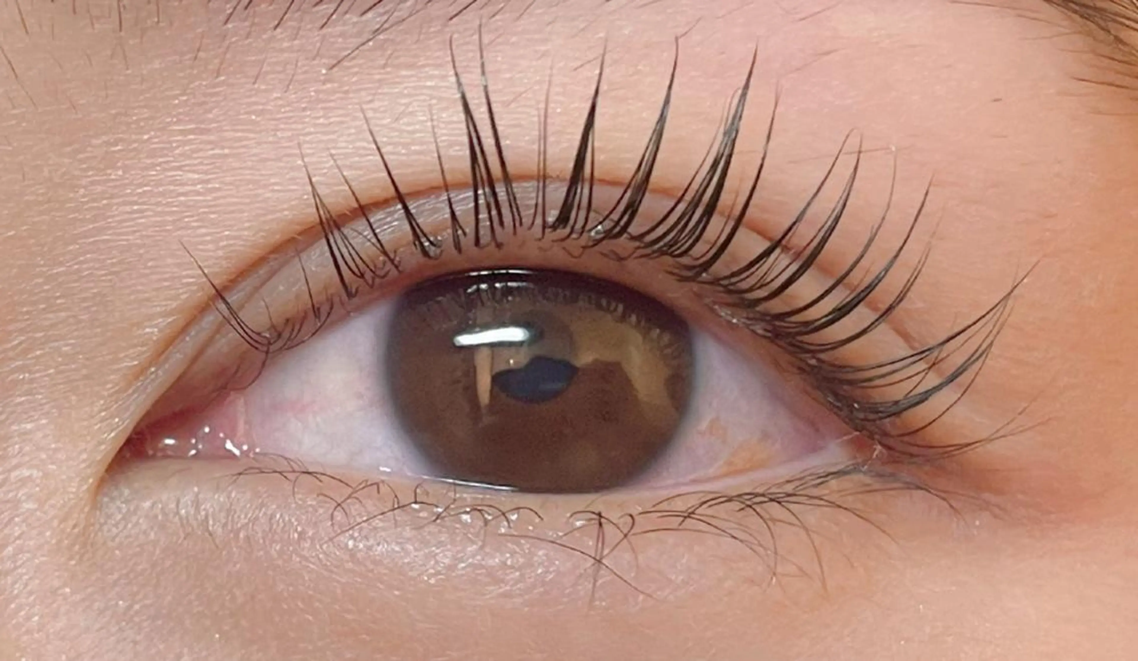 マツエク・マツパ パリジェンヌラッシュリフト マツパ princess 森 碧海のマツエク・マツパデザイン