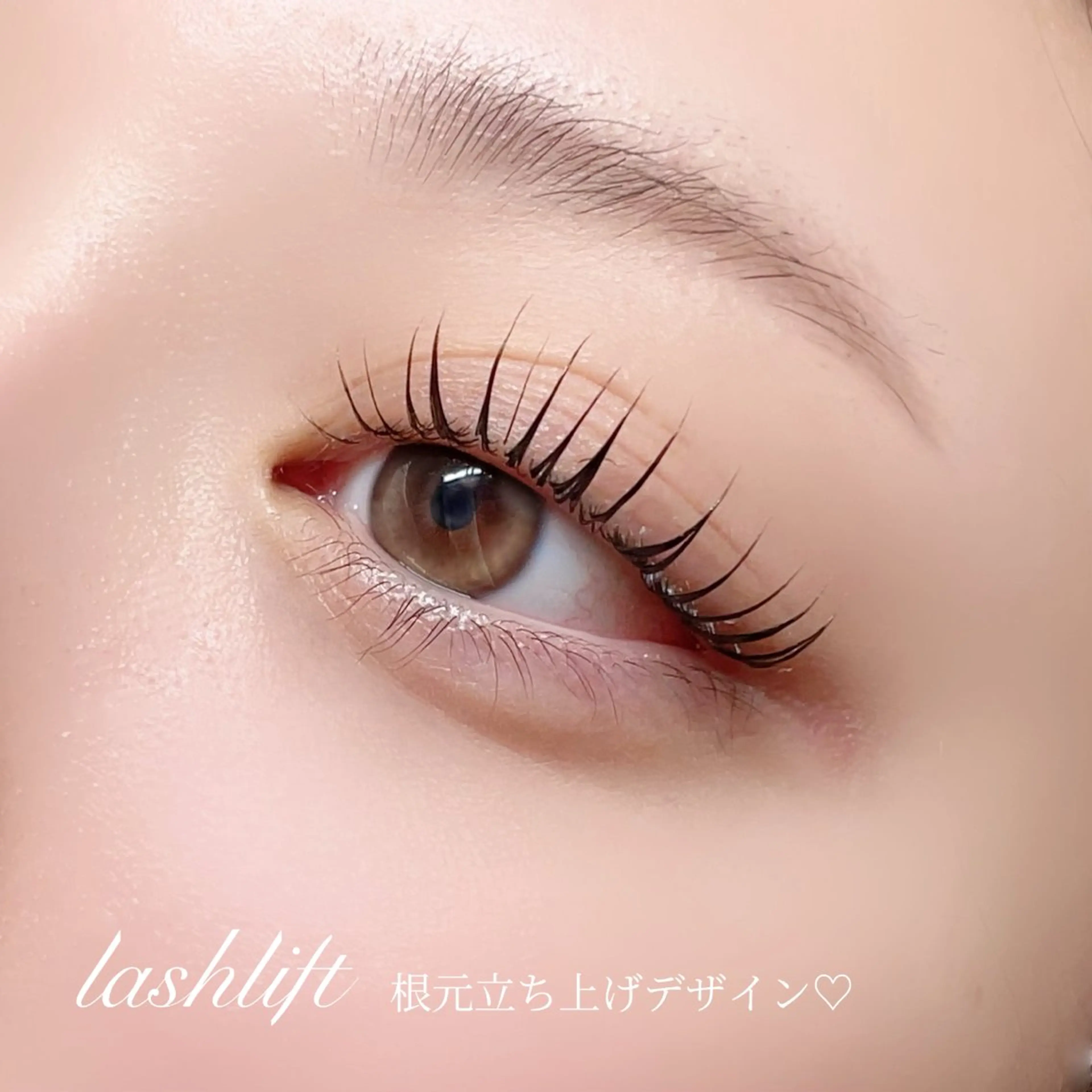 マツエク・マツパ ケラチンラッシュリフト 赤上/まつパ専門 アイリスト🤎🥐のマツエク・マツパデザイン