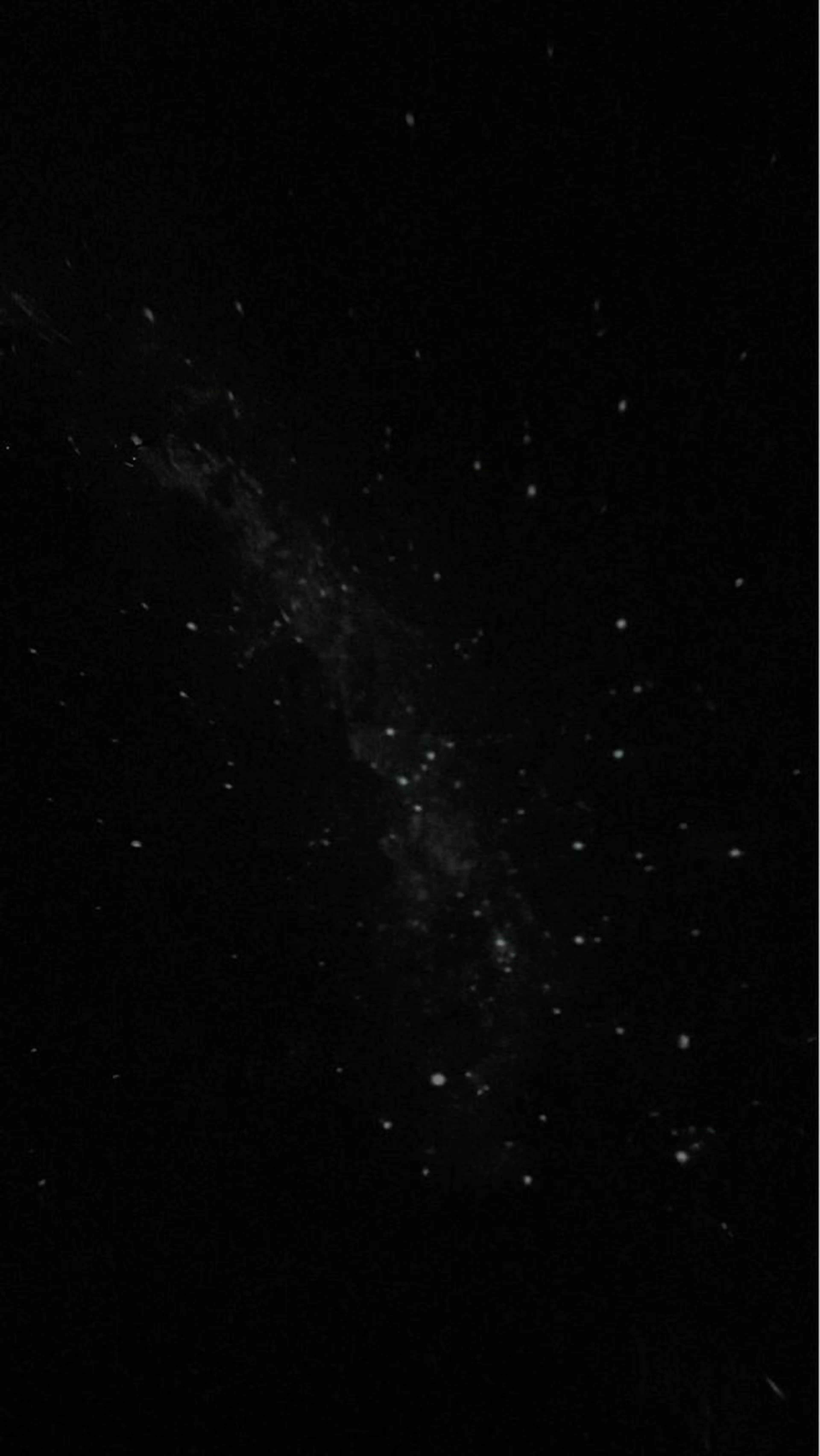 【NEW】ヘッドマイスターのドライヘッドスパの写真