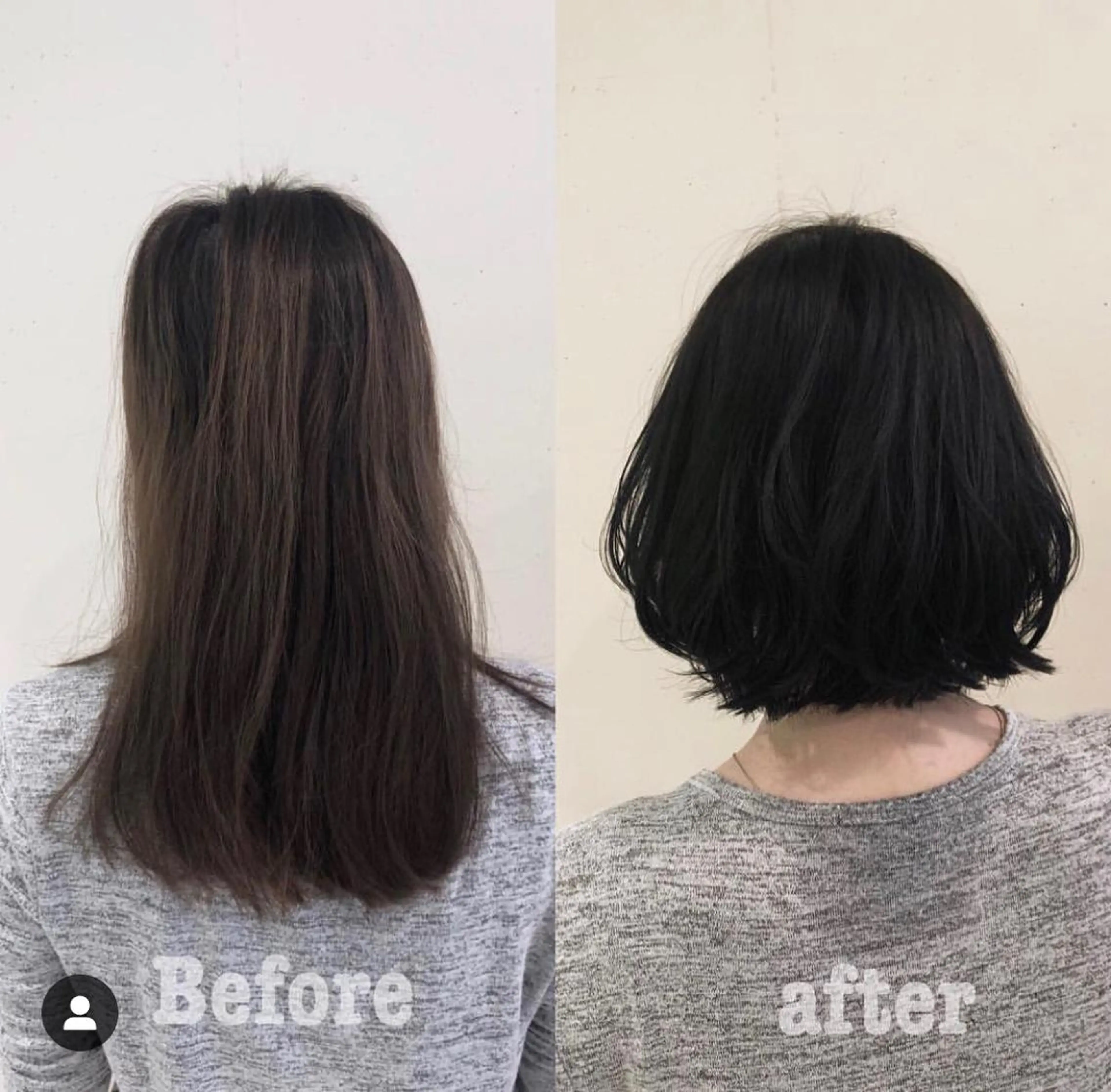 ショート カラー パーマ ヘアアレンジ 黒髪 ブリーチ グラデーションカラー グレージュ ハイライトカラー カット ヘアカラー トリートメント 【ツヤ髪美容師】 ツダケイスケのヘアスタイル