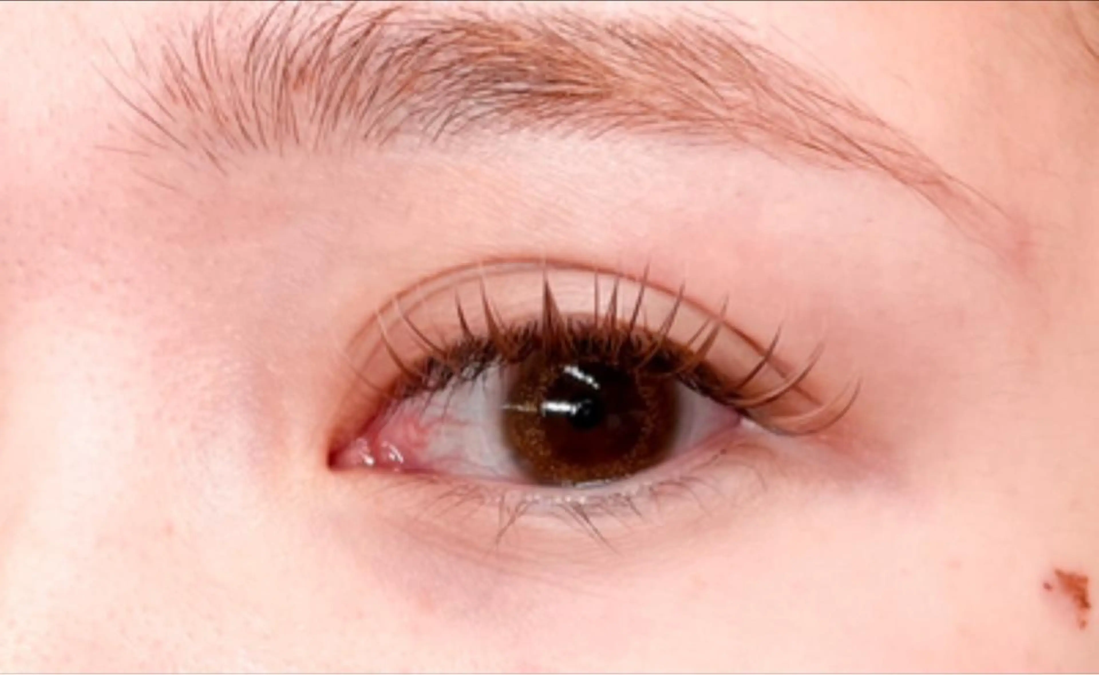 マツエク・マツパ 付け放題 🥀Saito Tomomi🥀のマツエク・マツパデザイン