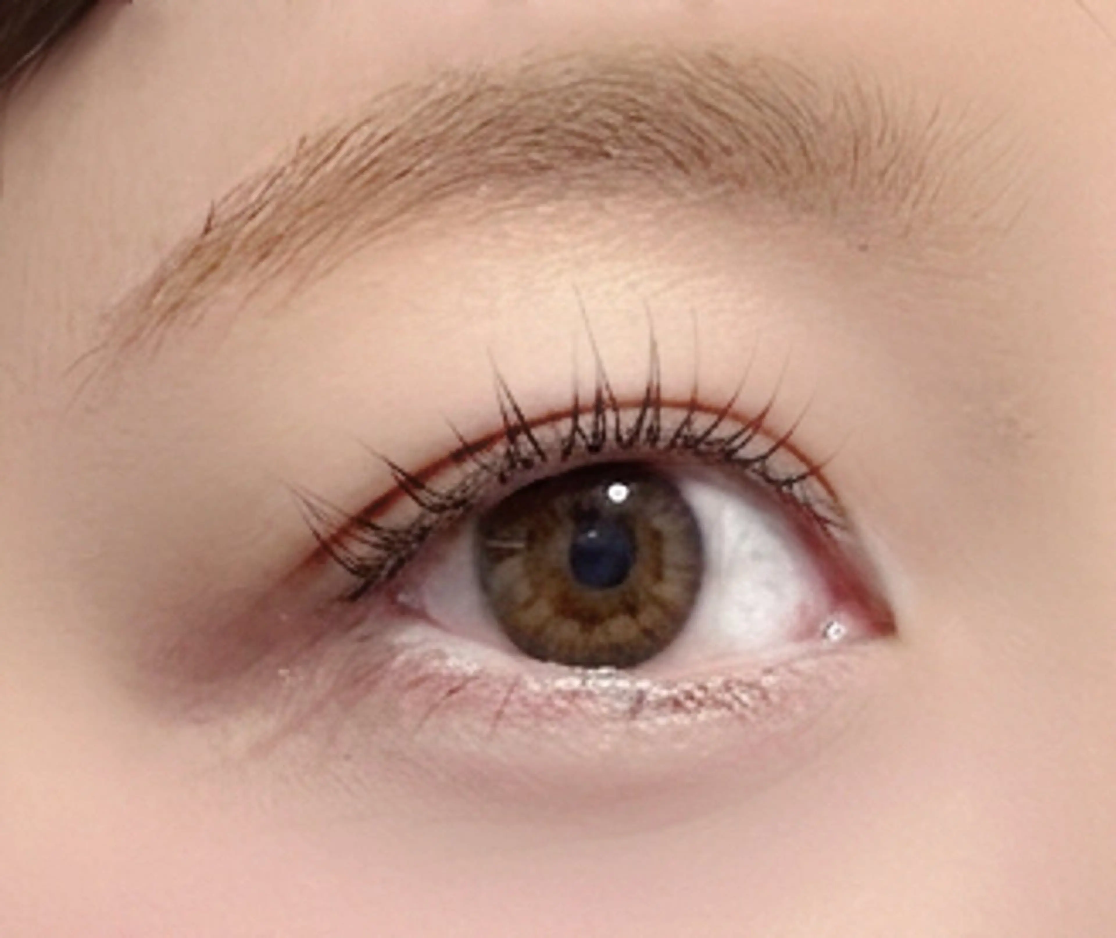 アイブロウ 眉毛ワックス脱毛 マツパ elua eyelashの眉毛・アイブロウイメージ