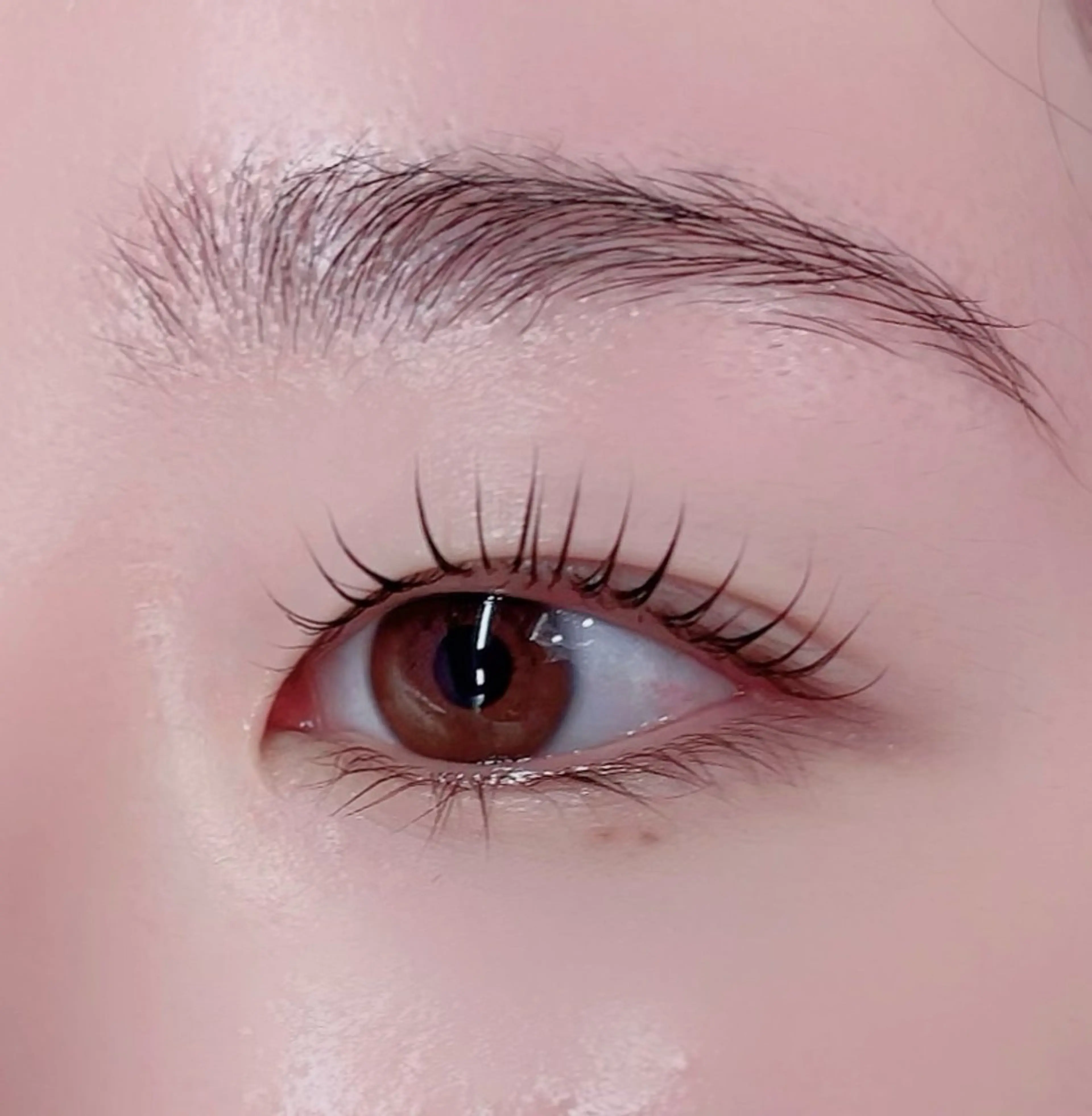 ［平日限定]🌸まつ毛パーマ(上) ¥6600→¥4000の写真