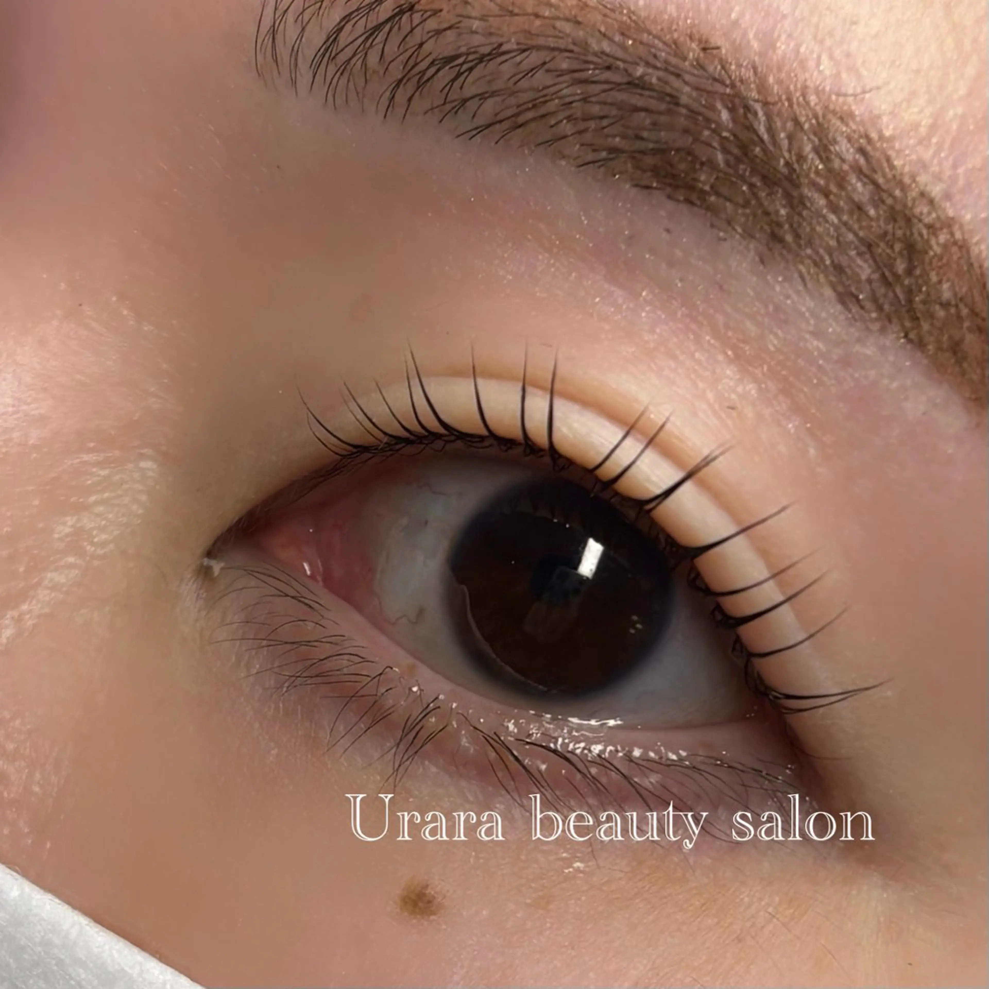 マツエク・マツパ パリジェンヌラッシュリフト まつげパーマ 一重×まつ毛パーマ マツパ Urara beauty salon所属・Urara KANAのマツエク・マツパデザイン