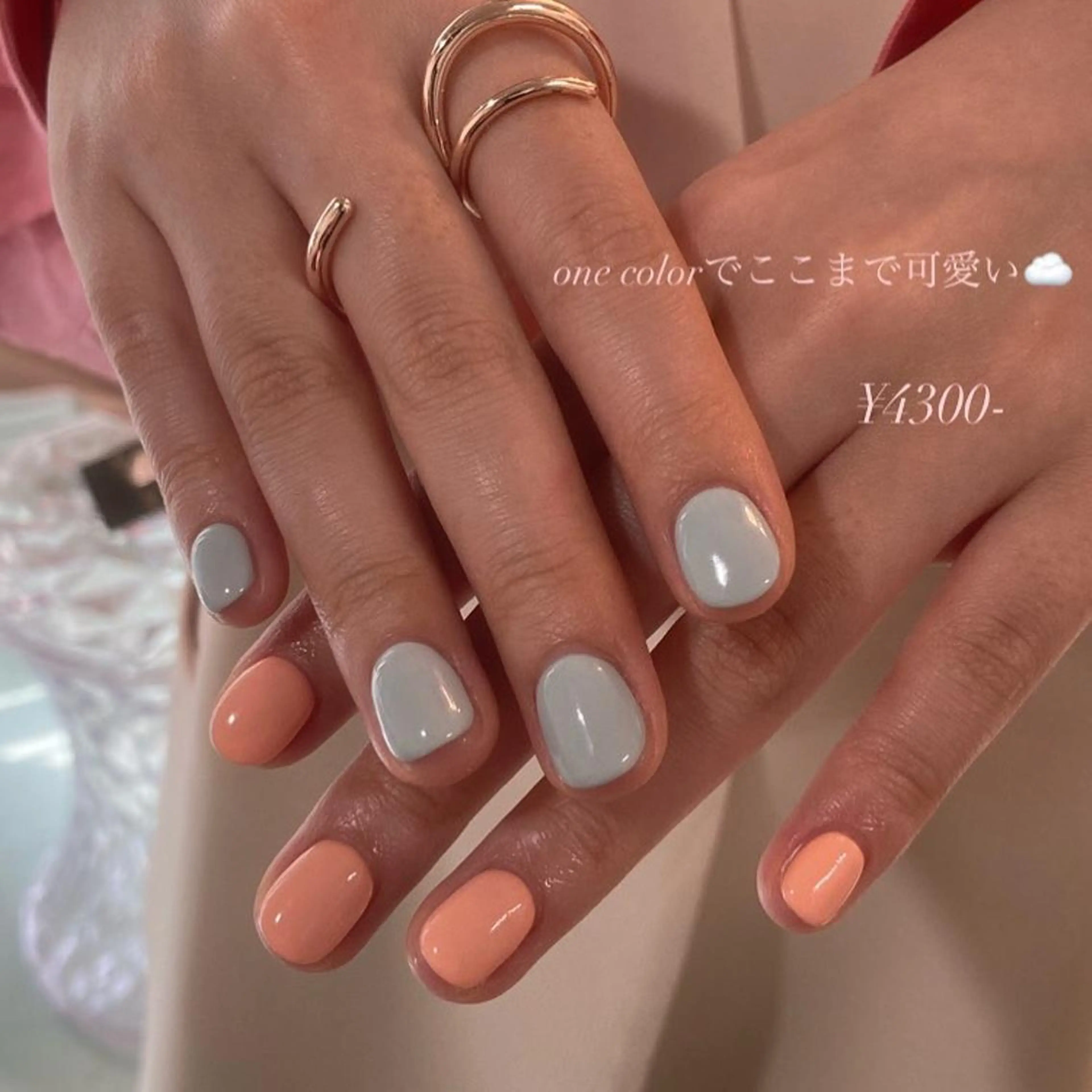 オフ無＊one colorの写真