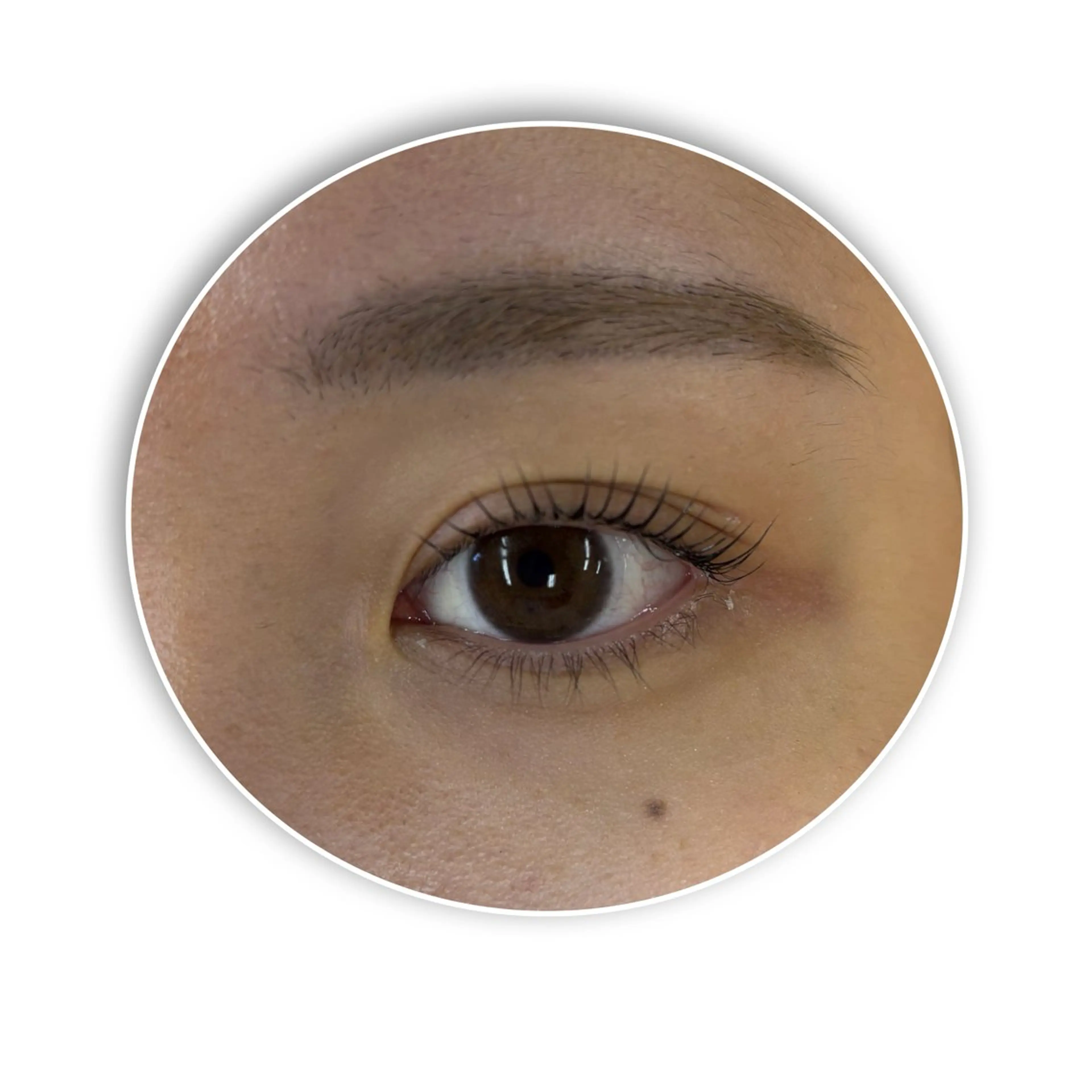 まつ毛パーマ&アイシャンプー⚠️補足説明お読みください⚠️の写真