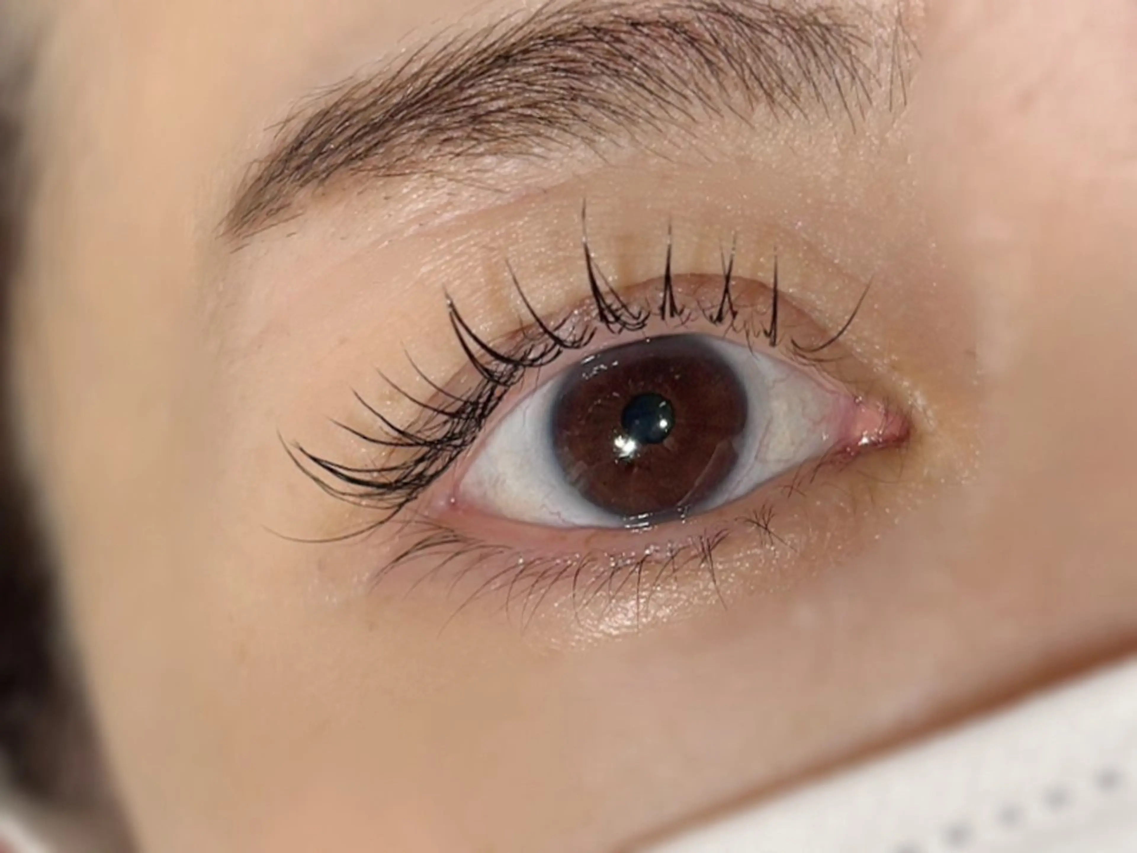 マツエク・マツパ Kanal Kanaのエステ・リラクイメージ