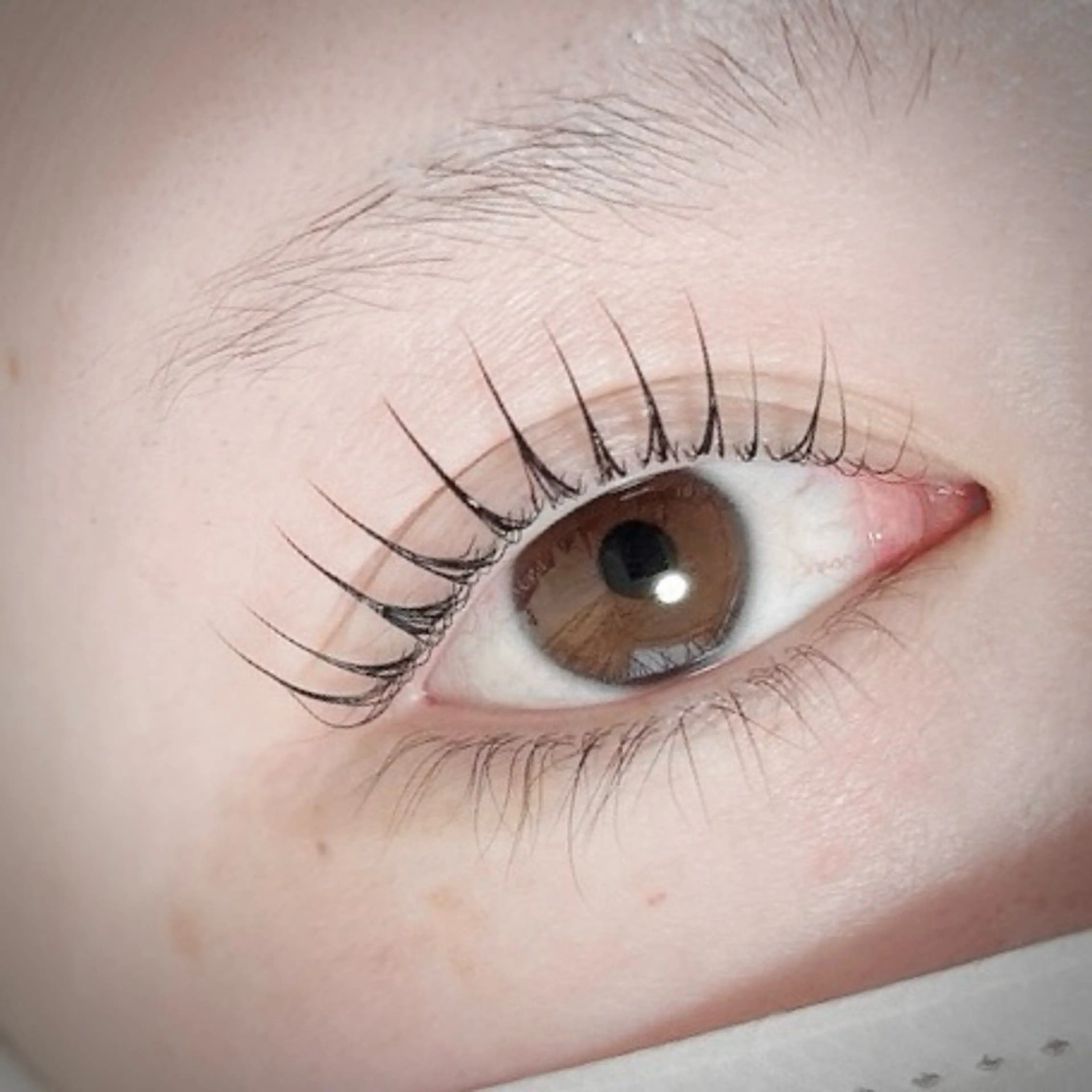 🫧つやぷる🫧🩵ケアまつげパーマ🩵アイシャンプー/中間トリートメント/美容液コーティング仕上げの写真