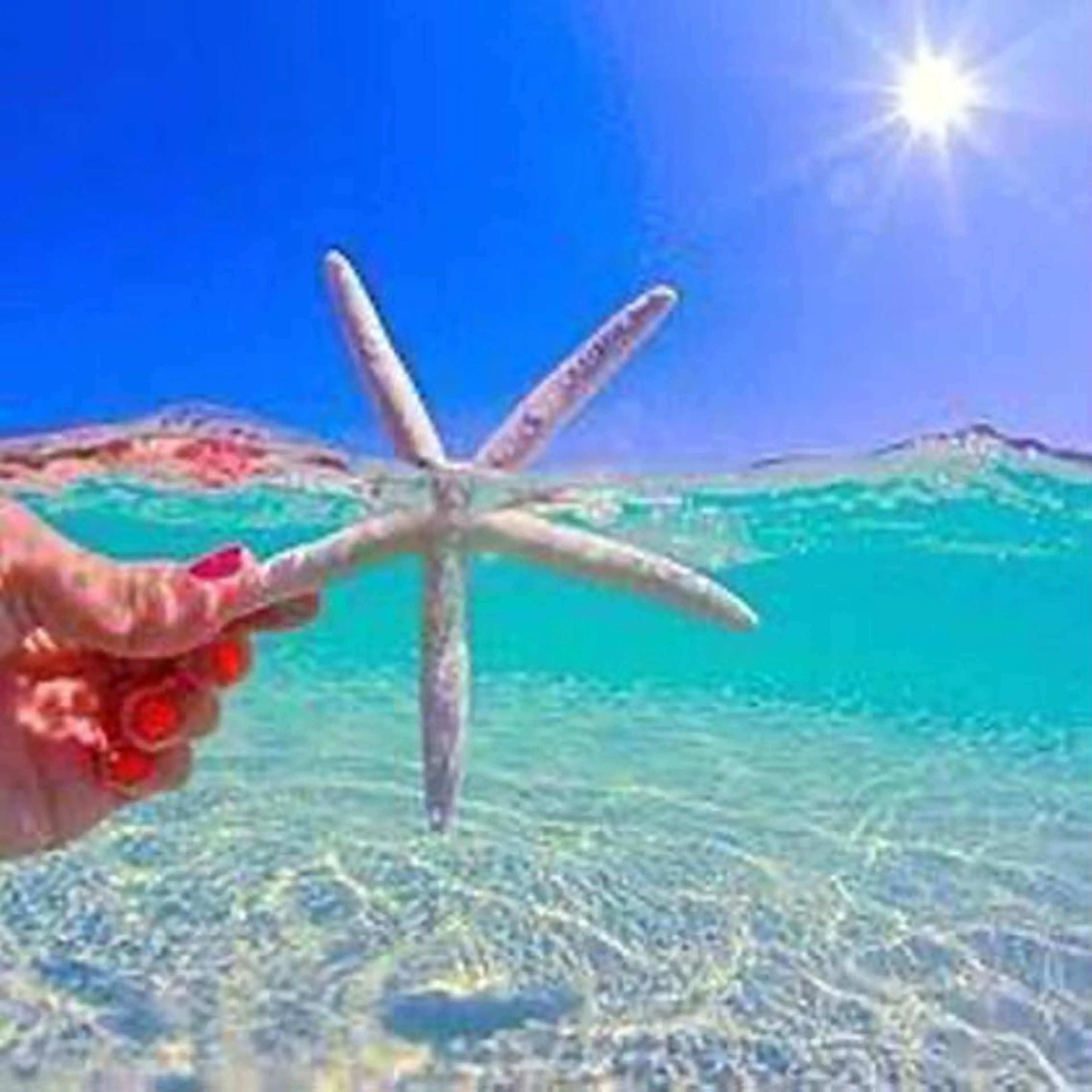 Mパーツ【1箇所1回¥3300】顔上・顔下・デコルテ・首・うなじ・V・I・O・ヒップの中からお選び頂けます✨の写真