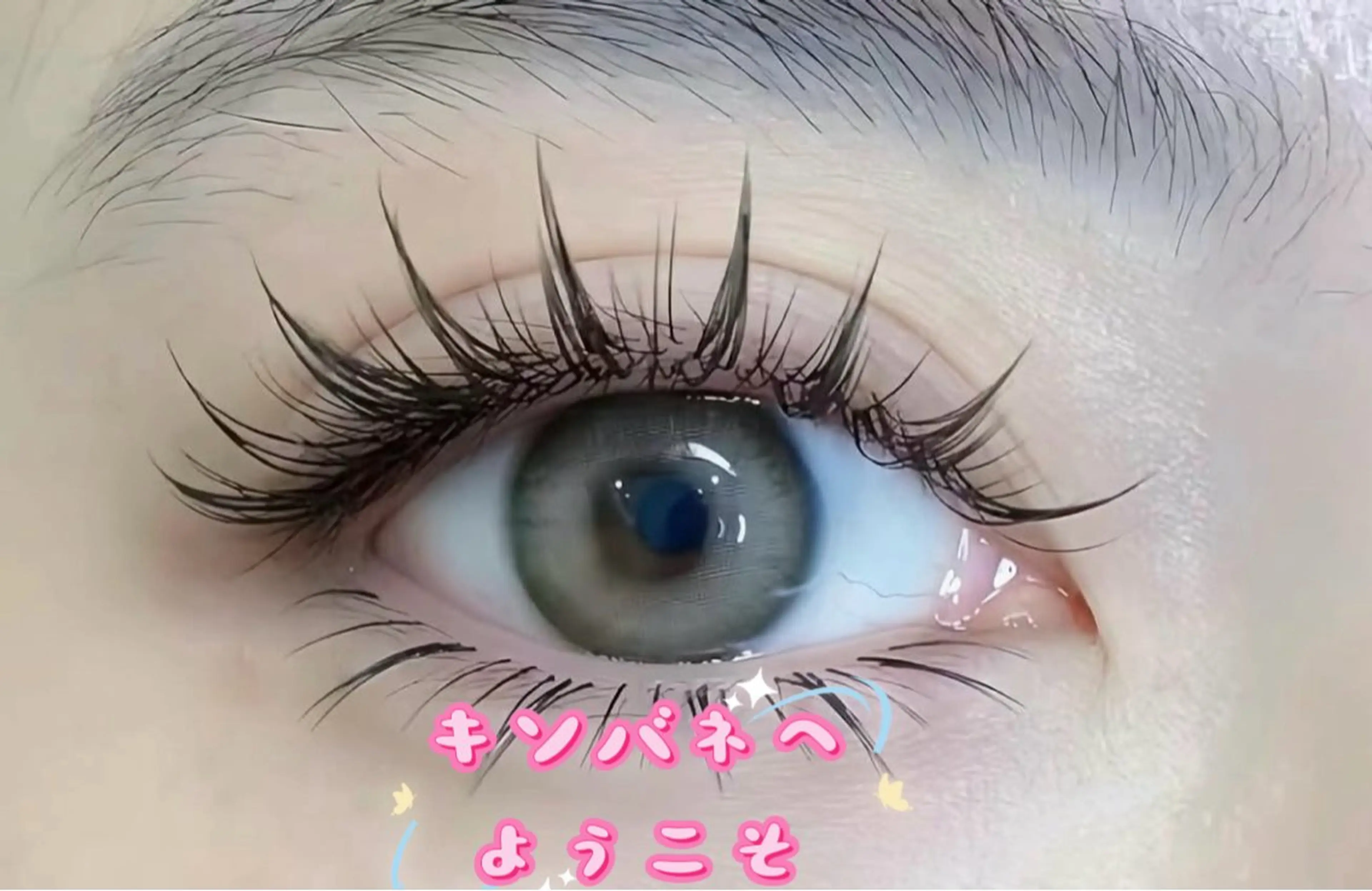 マツエク・マツパ 韓国風マツエク パリジェンヌラッシュリフト まつげパーマ 下まつげエクステ 一重×まつ毛パーマ キンバネ・サロン 高田馬場店のマツエク・マツパデザイン