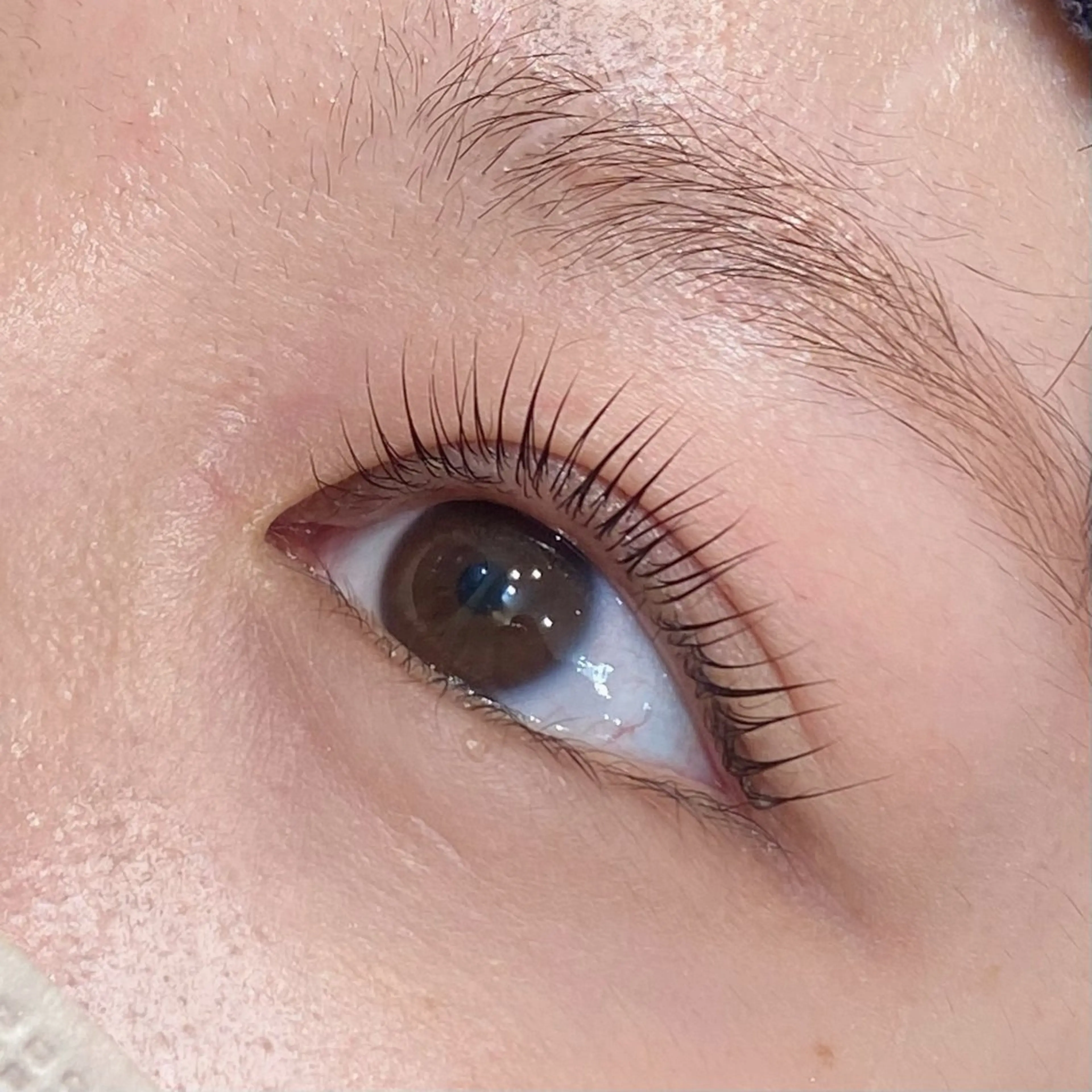 ãããšã¯ã»ããã Locoâ€ïž åžæœã®çæ¯ã»ã¢ã€ãããŠã€ã¡ãŒãž