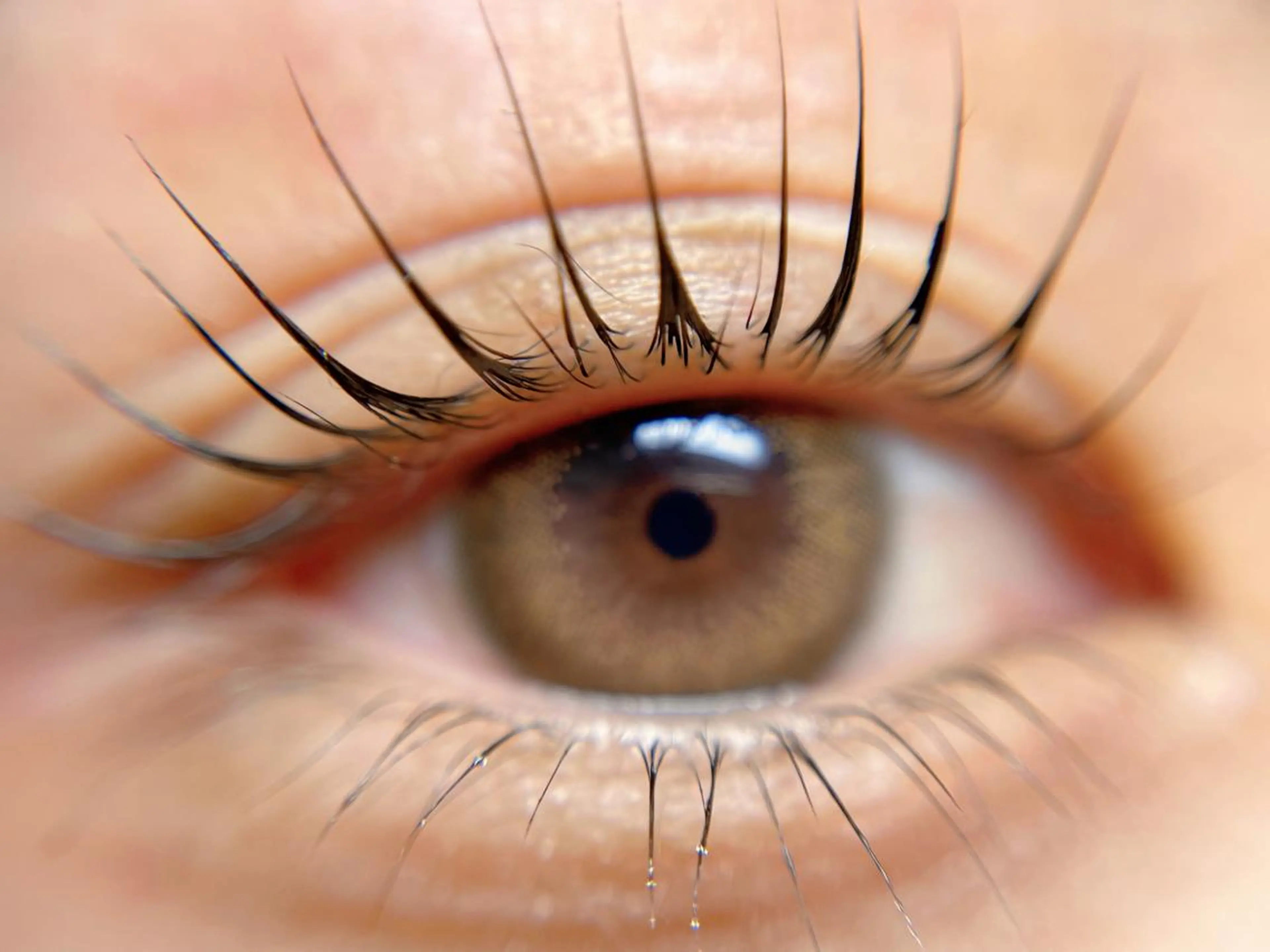 マツエク・マツパ 福島LA BEL HARUHIのマツエク・マツパデザイン