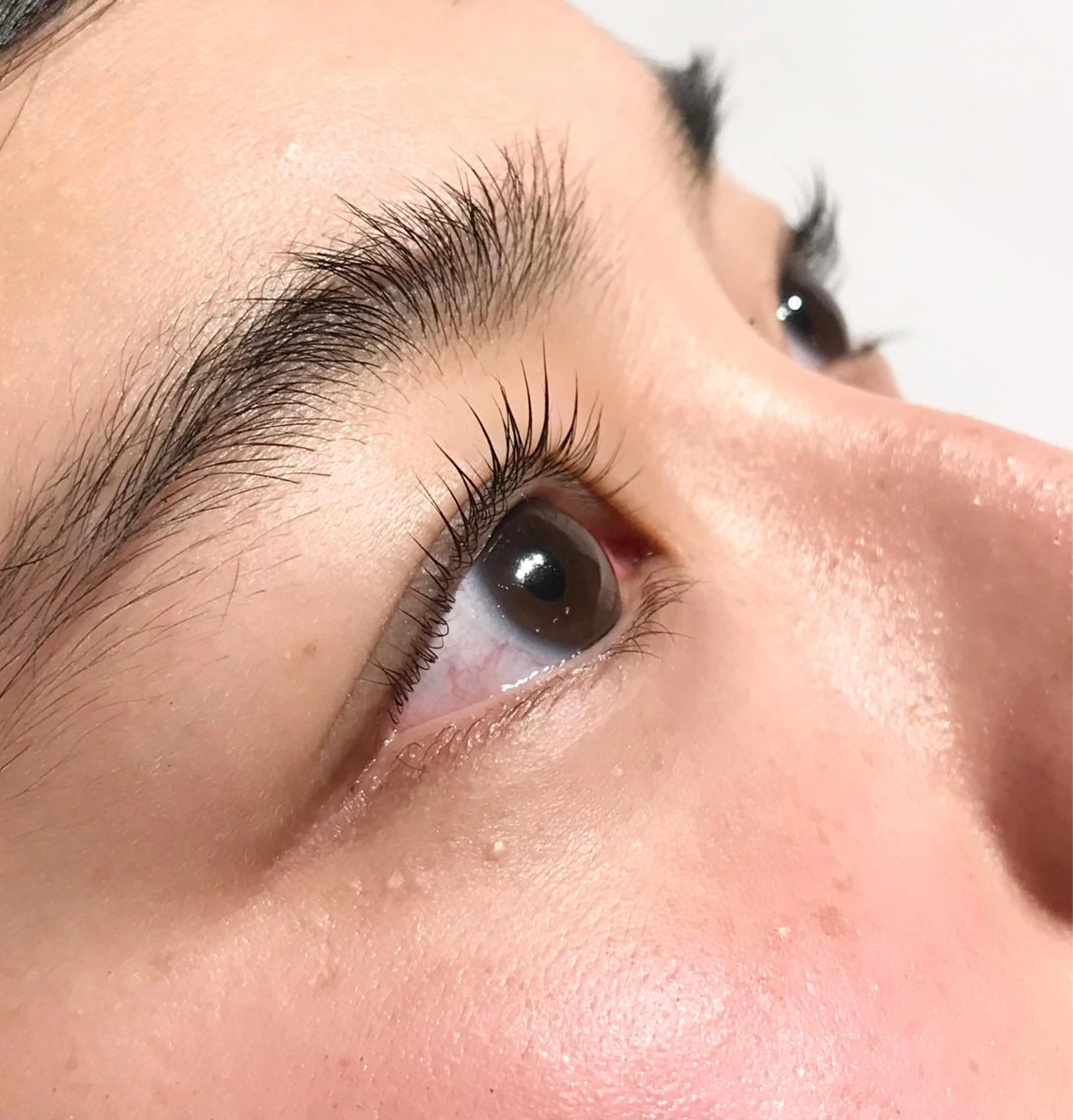 マツエク・マツパ Lily Eyelashのマツエク・マツパデザイン
