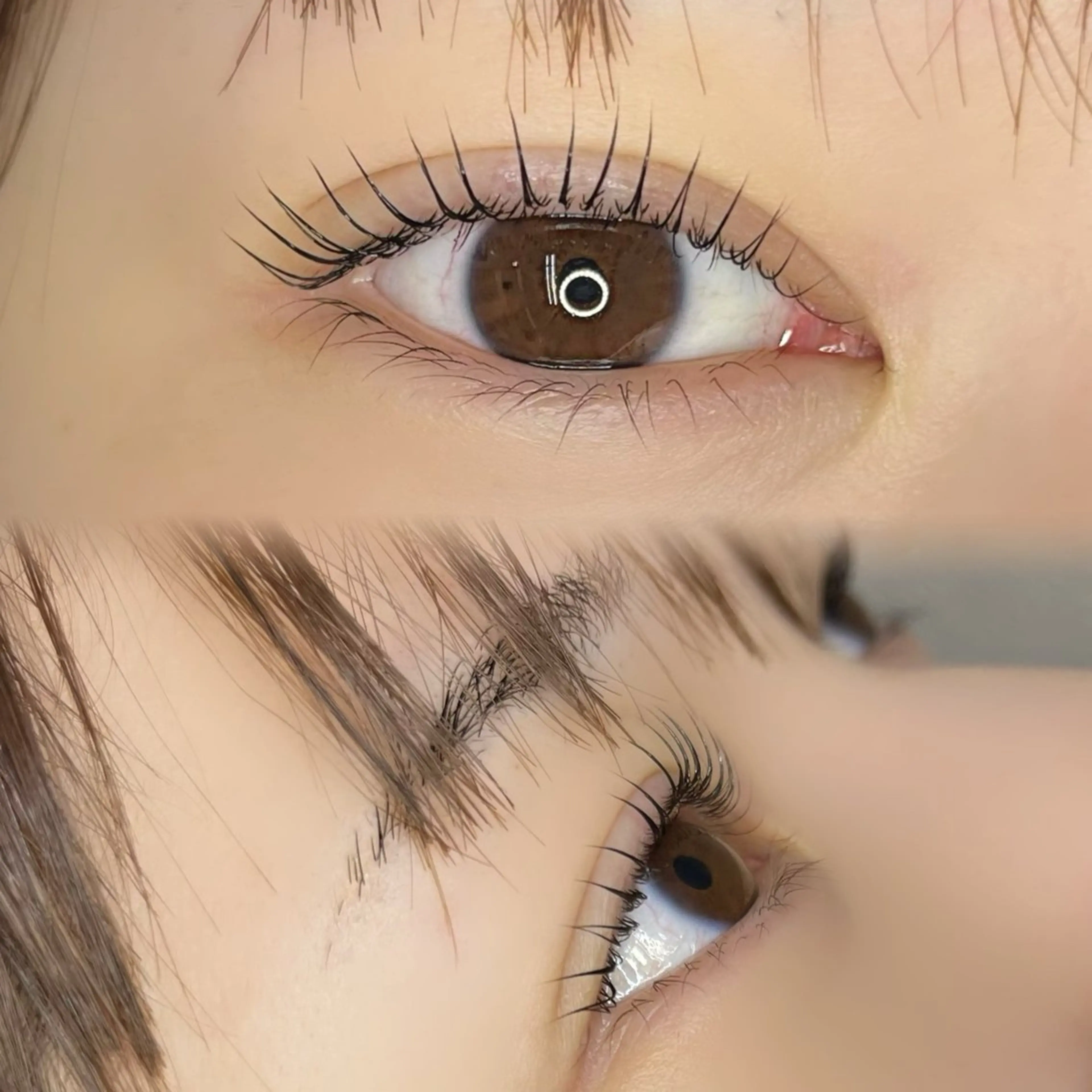 マツエク・マツパ Lカール マツパ くるるん本店 Juri🌷のマツエク・マツパデザイン