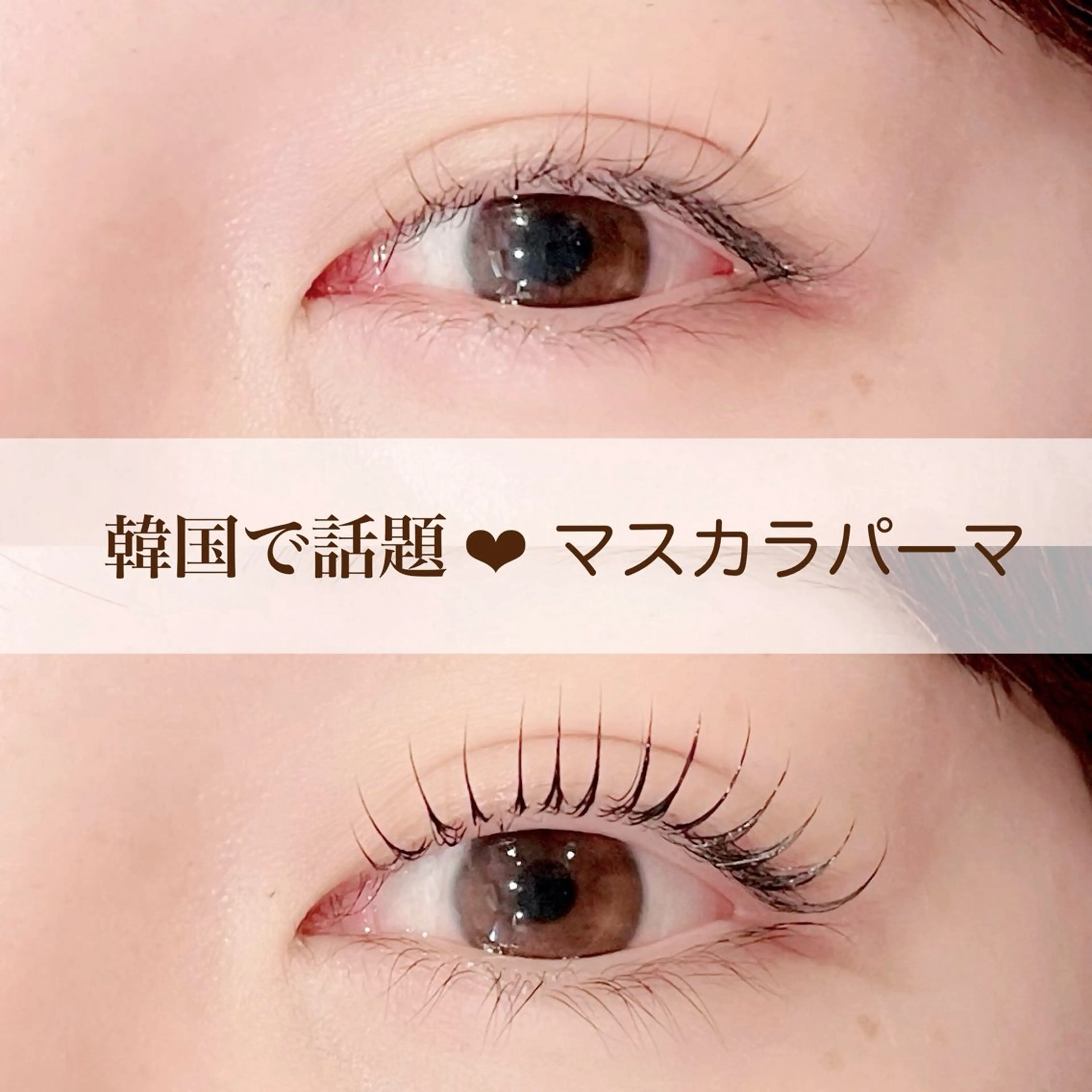 《ご新規様》💖🧁韓国マスカラパーマ(上のみ)エクステオフ＋¥1100/時間＋15分⚠️遅刻厳禁 通常パリのご案内⚠️の写真