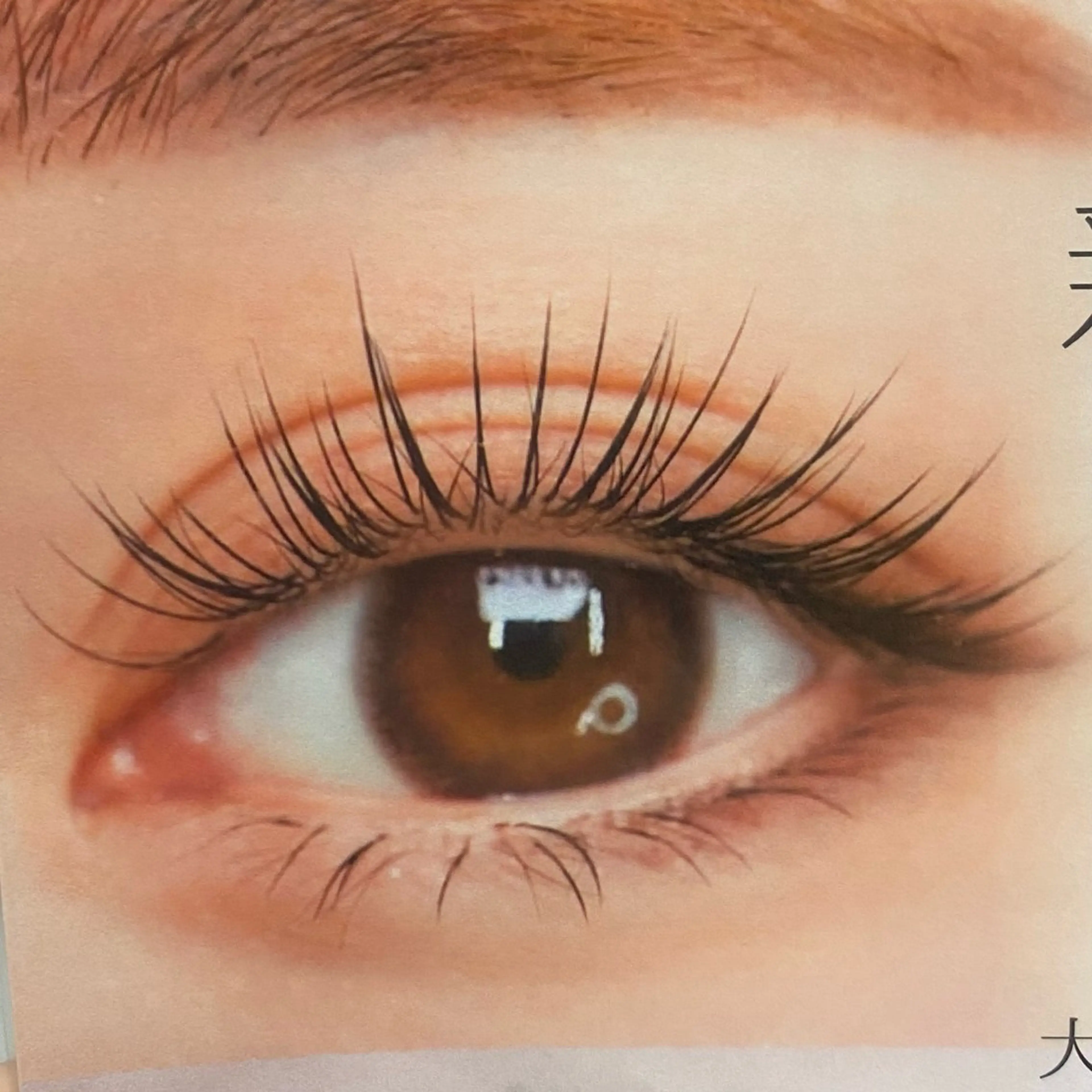 マツエク・マツパ EYELA熊本店 YUZUのマツエク・マツパデザイン