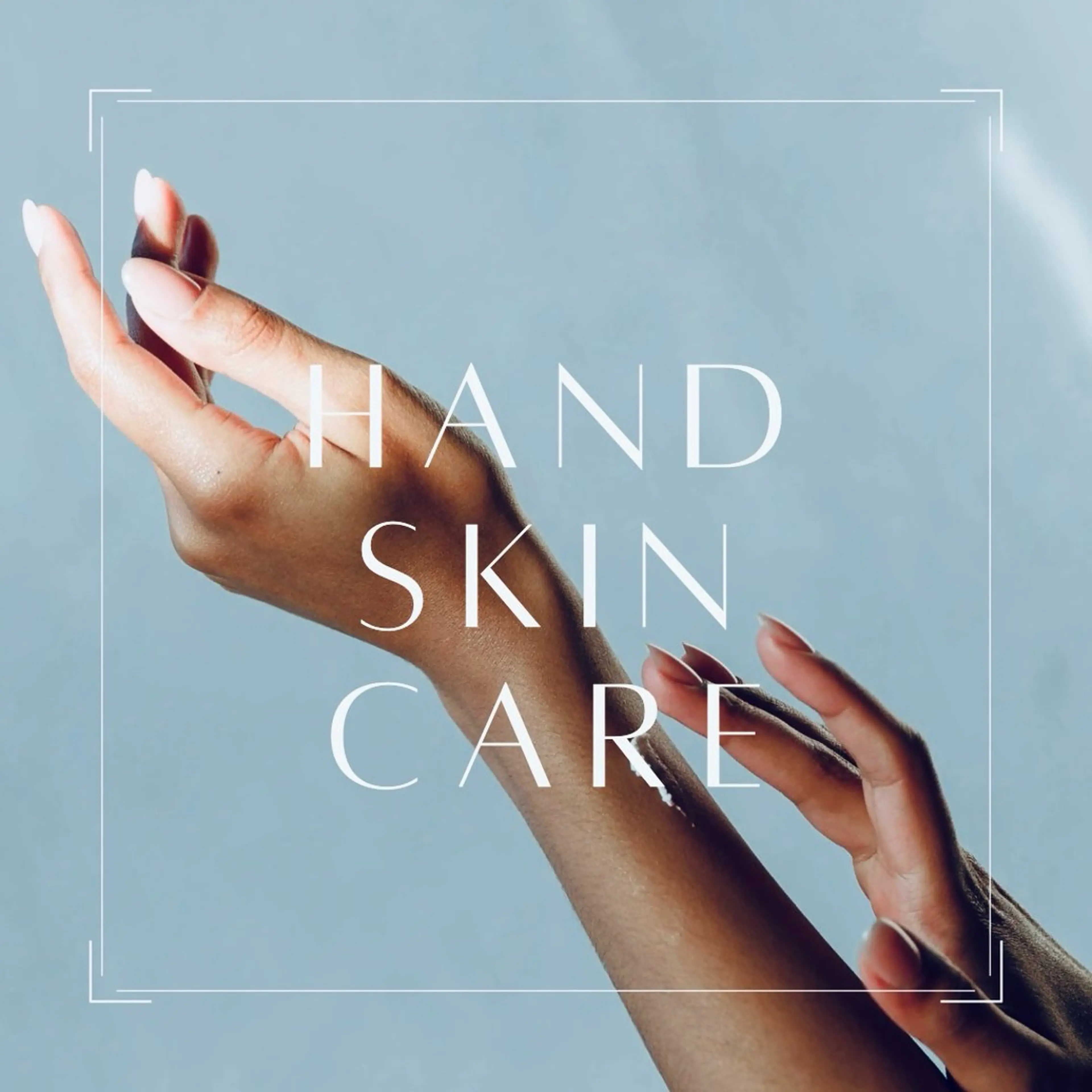 めぐらせの 森のその他イメージ