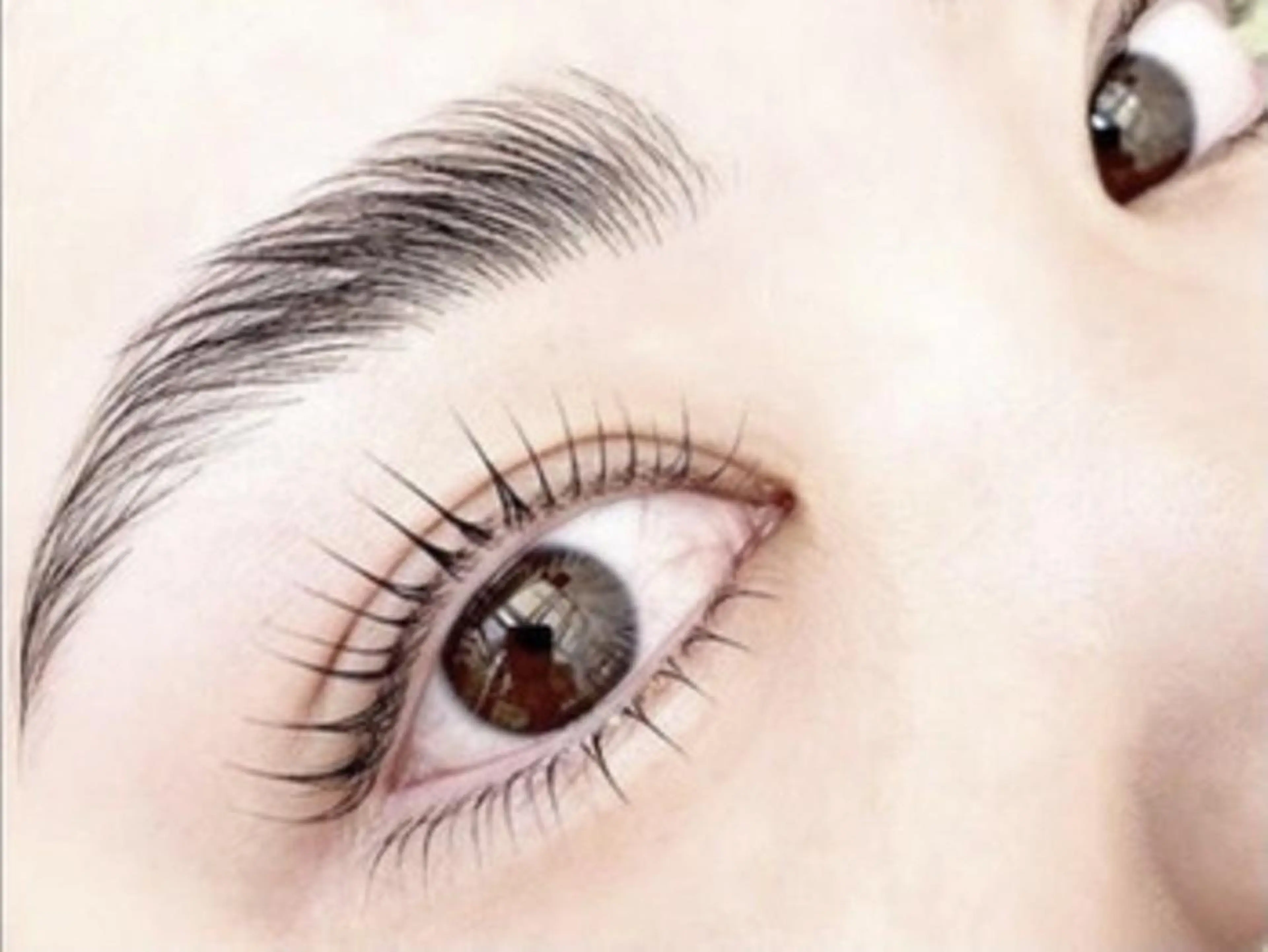 4/13 11:00~まつ毛パーマ上下の写真