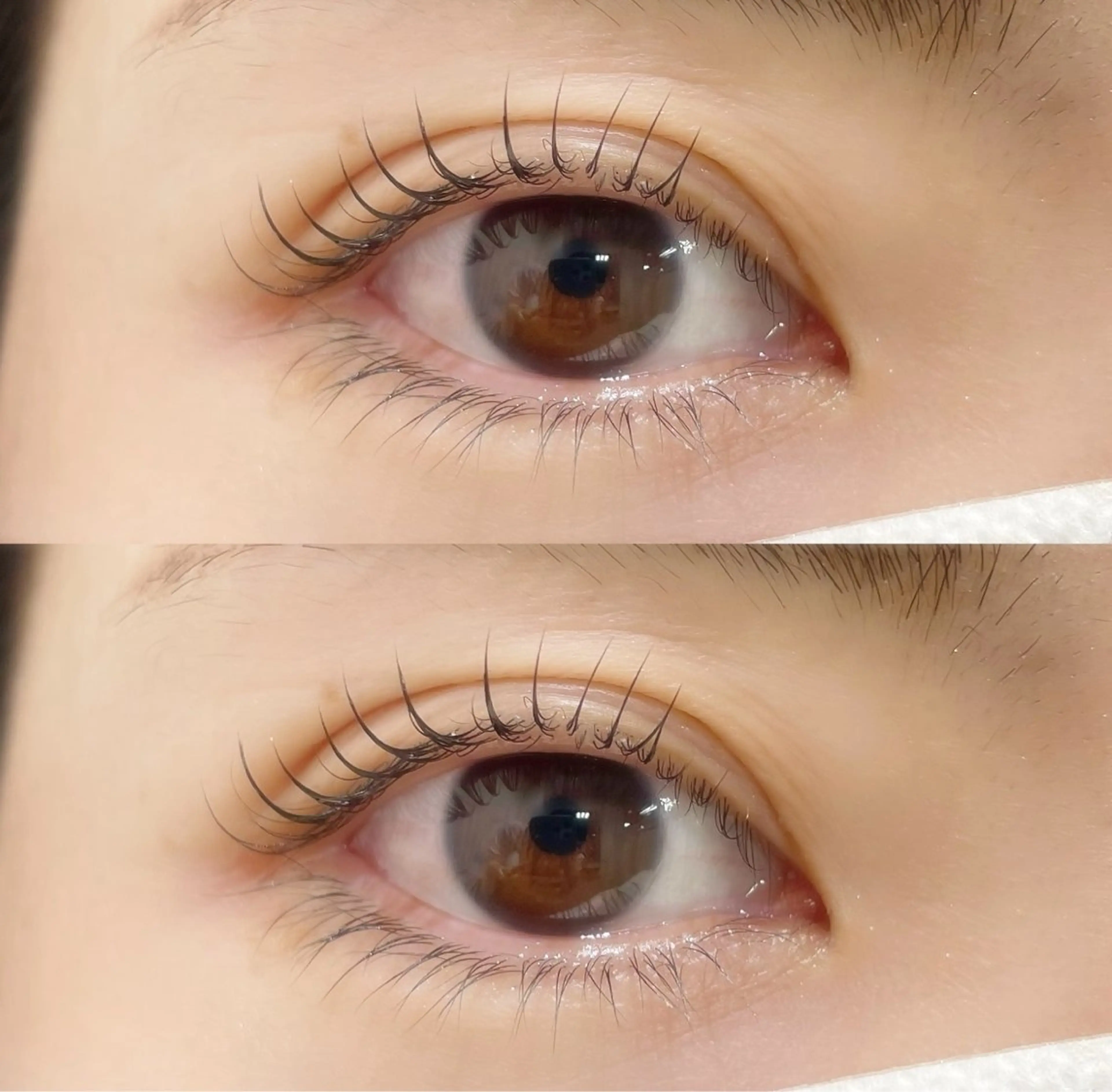 💎まつげパーマ＋眉毛WAXメニュー💎の写真