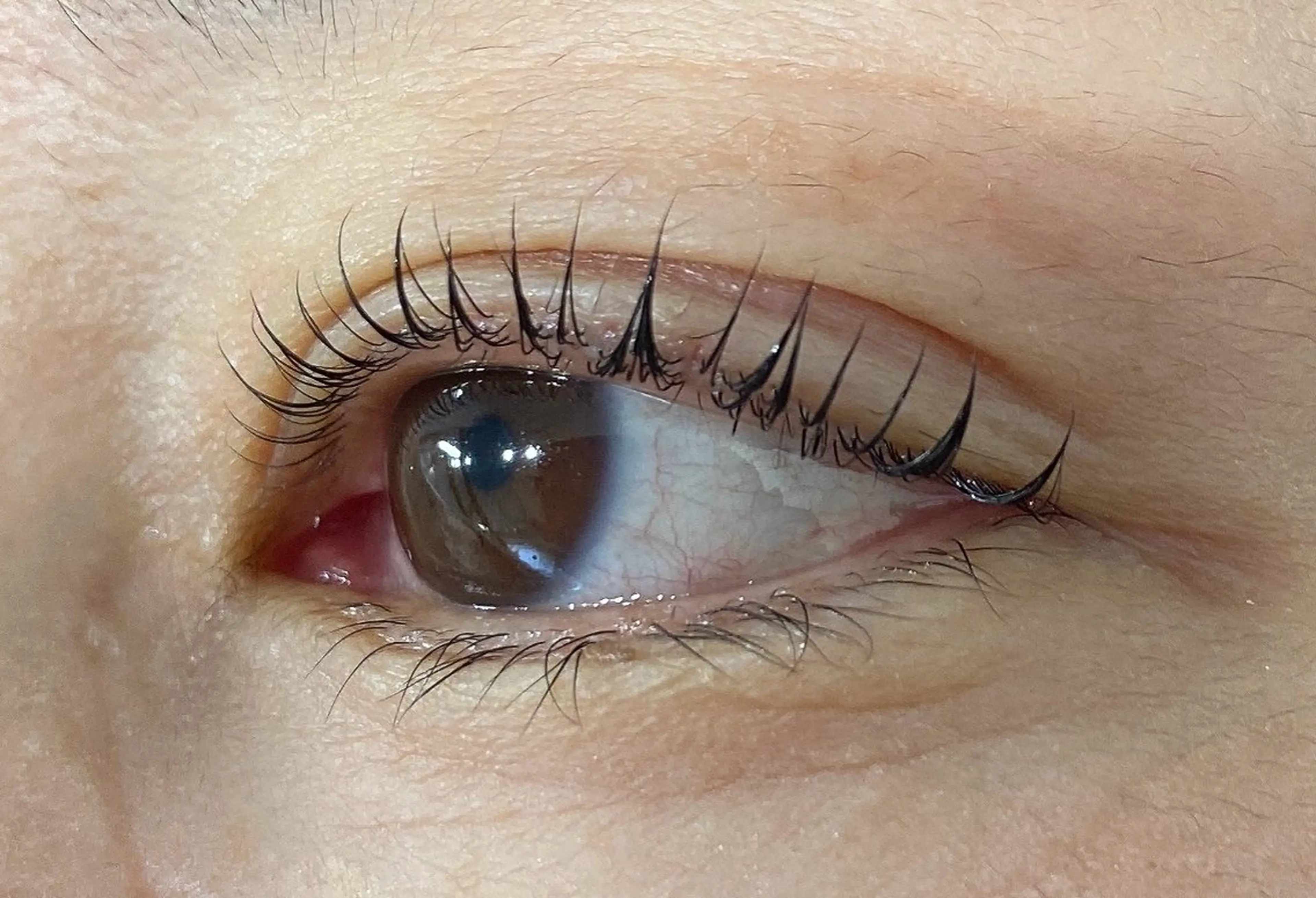 マツエク・マツパ まつげパーマ Ryume/ YUKARIのマツエク・マツパデザイン