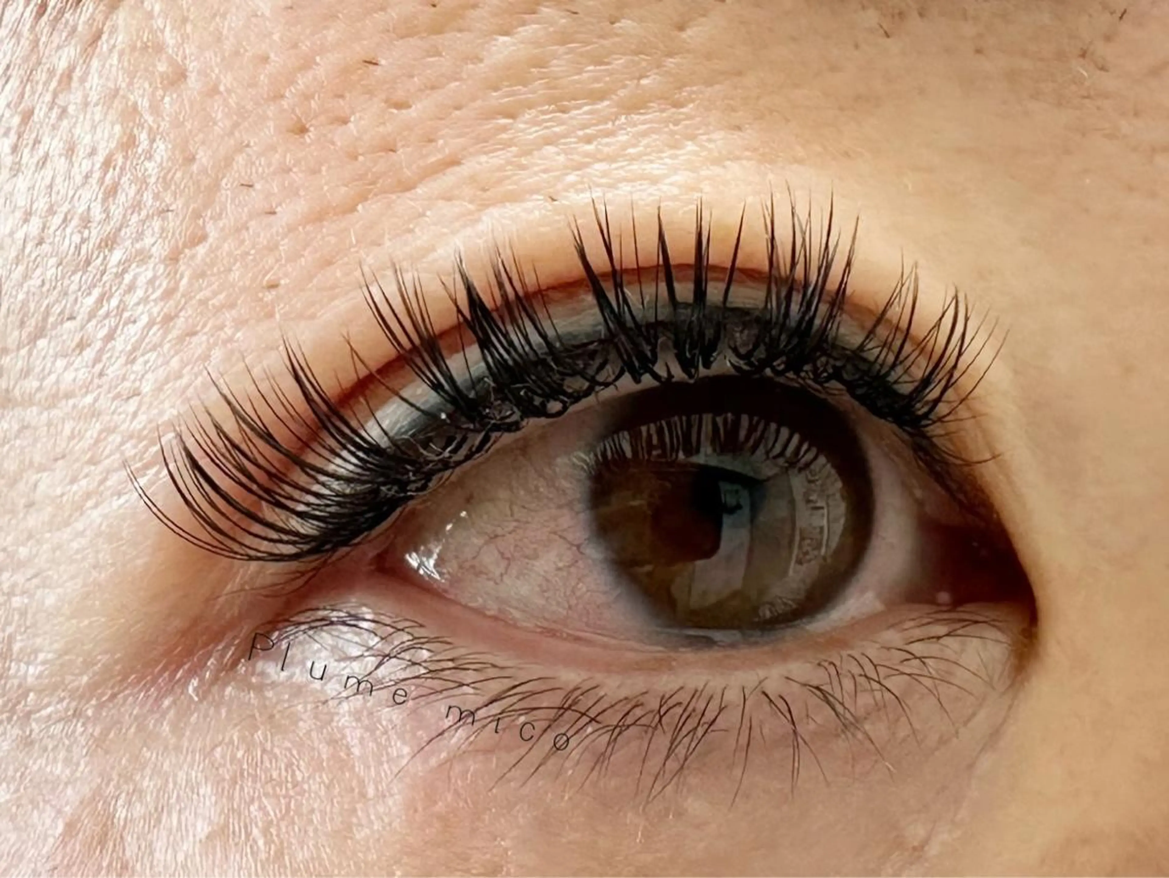 マツエク・マツパ マツエク Plume micoのマツエク・マツパデザイン