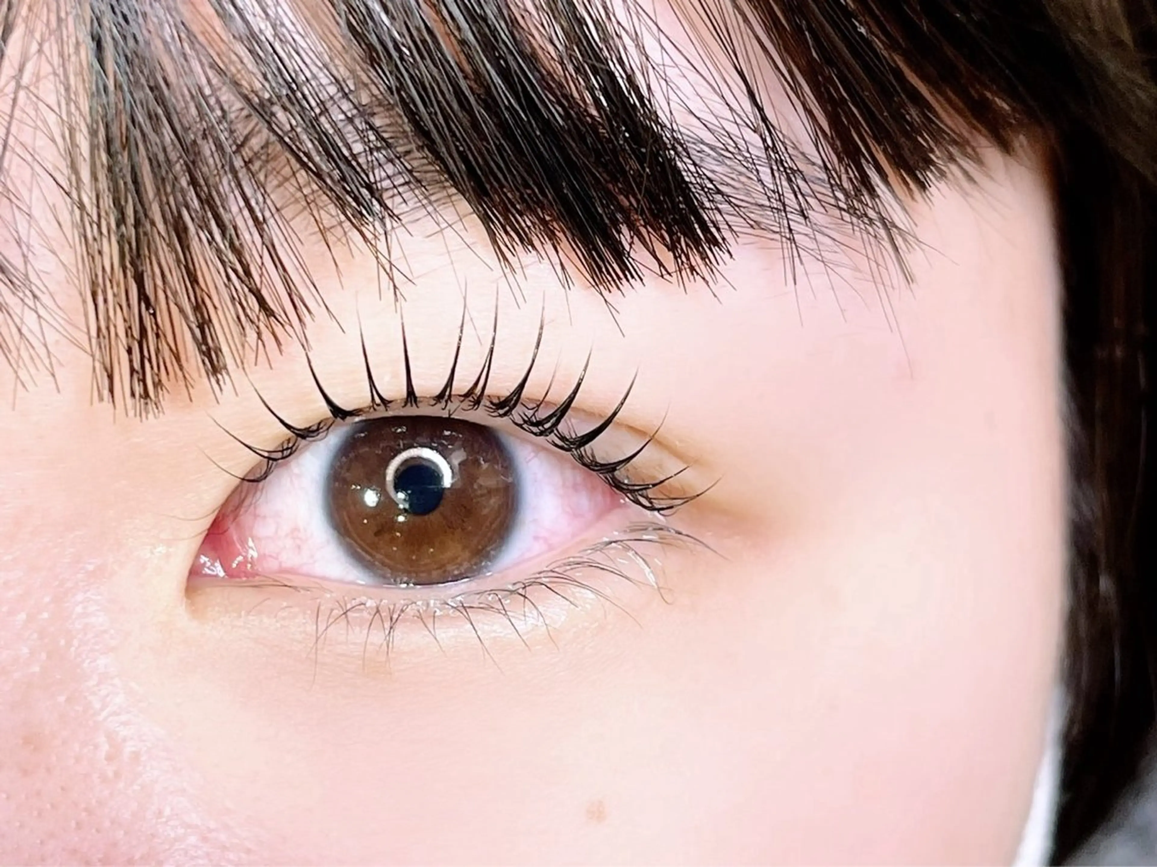 マツエク・マツパ SUMUU.新小岩店 yuzuri 🦋のマツエク・マツパデザイン