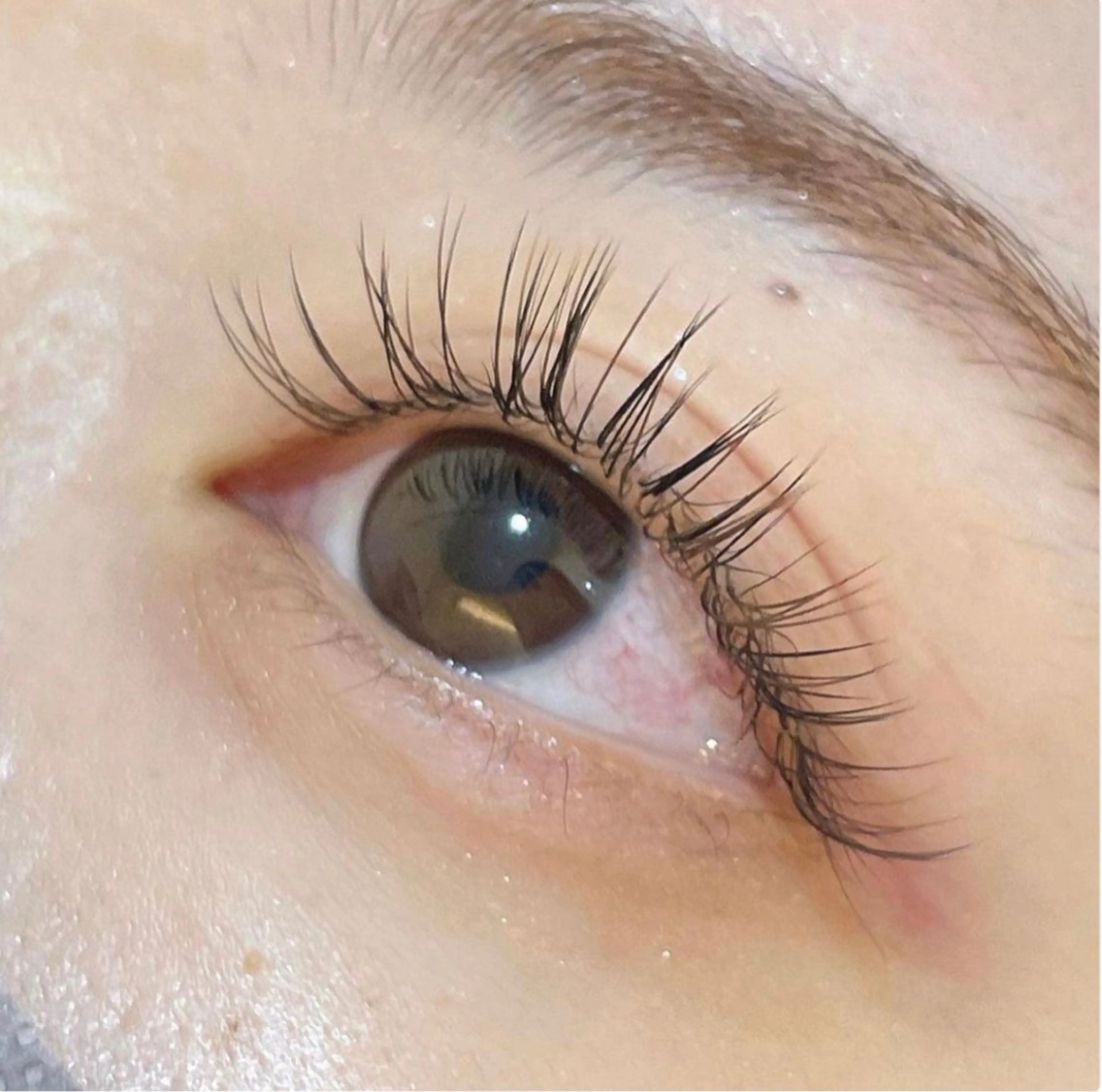 マツエク・マツパ Embellir/ "Aine"🕊のマツエク・マツパデザイン