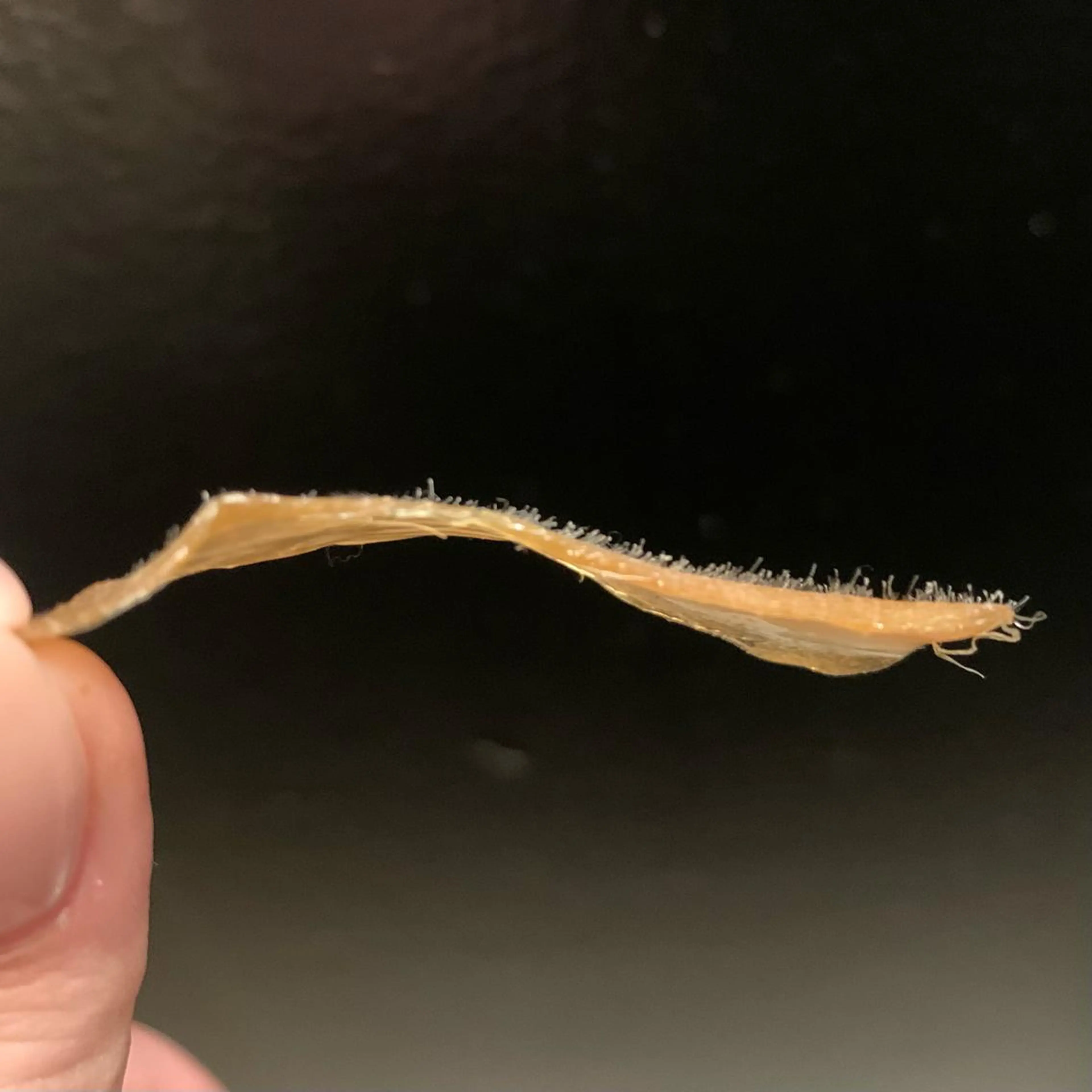 【脱毛/眉毛専門店】 rudi　阿波座店の眉毛・アイブロウイメージ