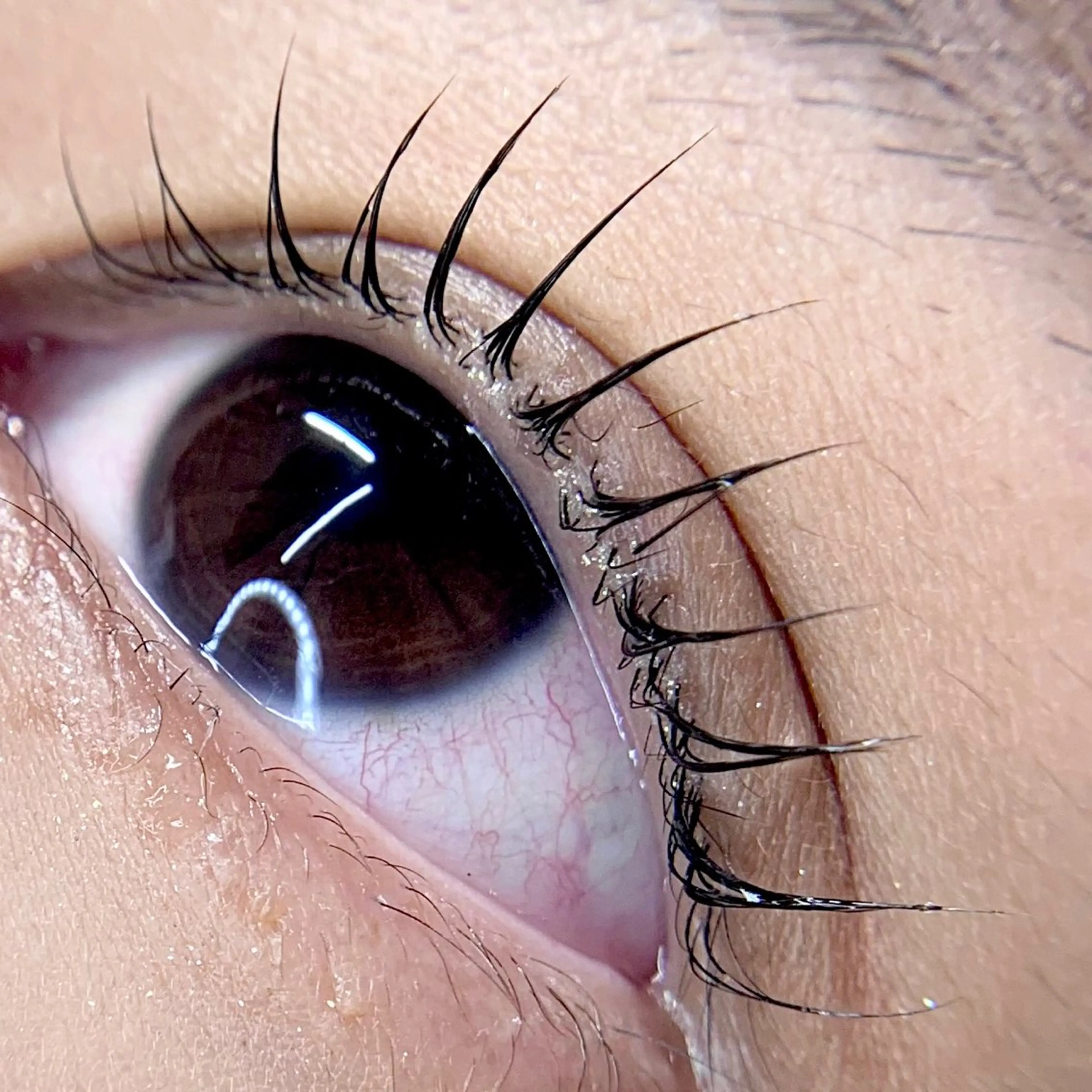 マツエク・マツパ iolo nakajimaのマツエク・マツパデザイン