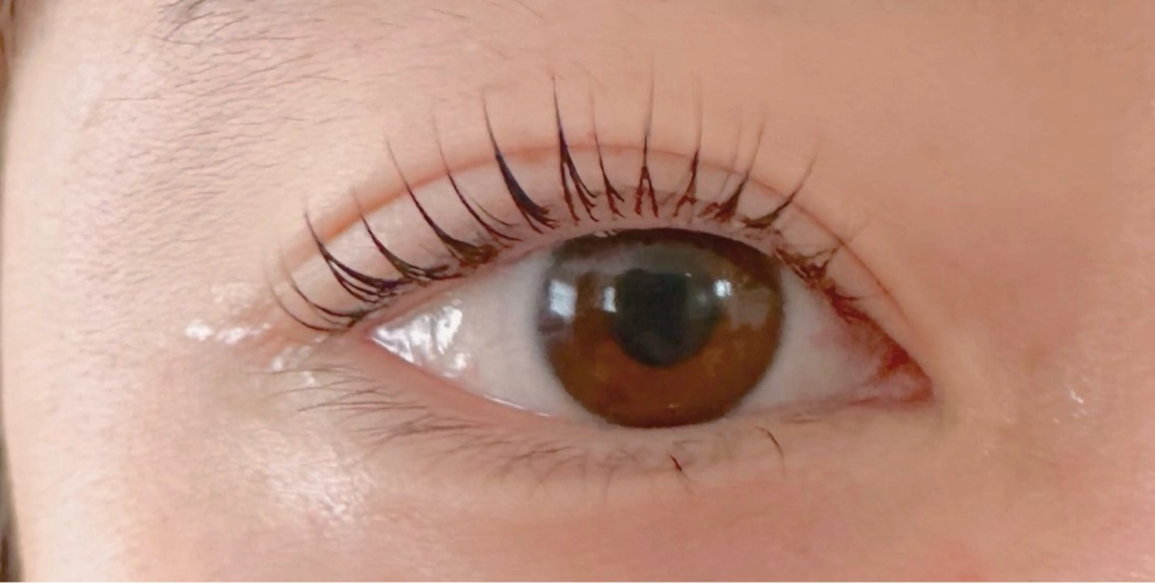 マツエク・マツパ aya 🫧の眉毛・アイブロウイメージ