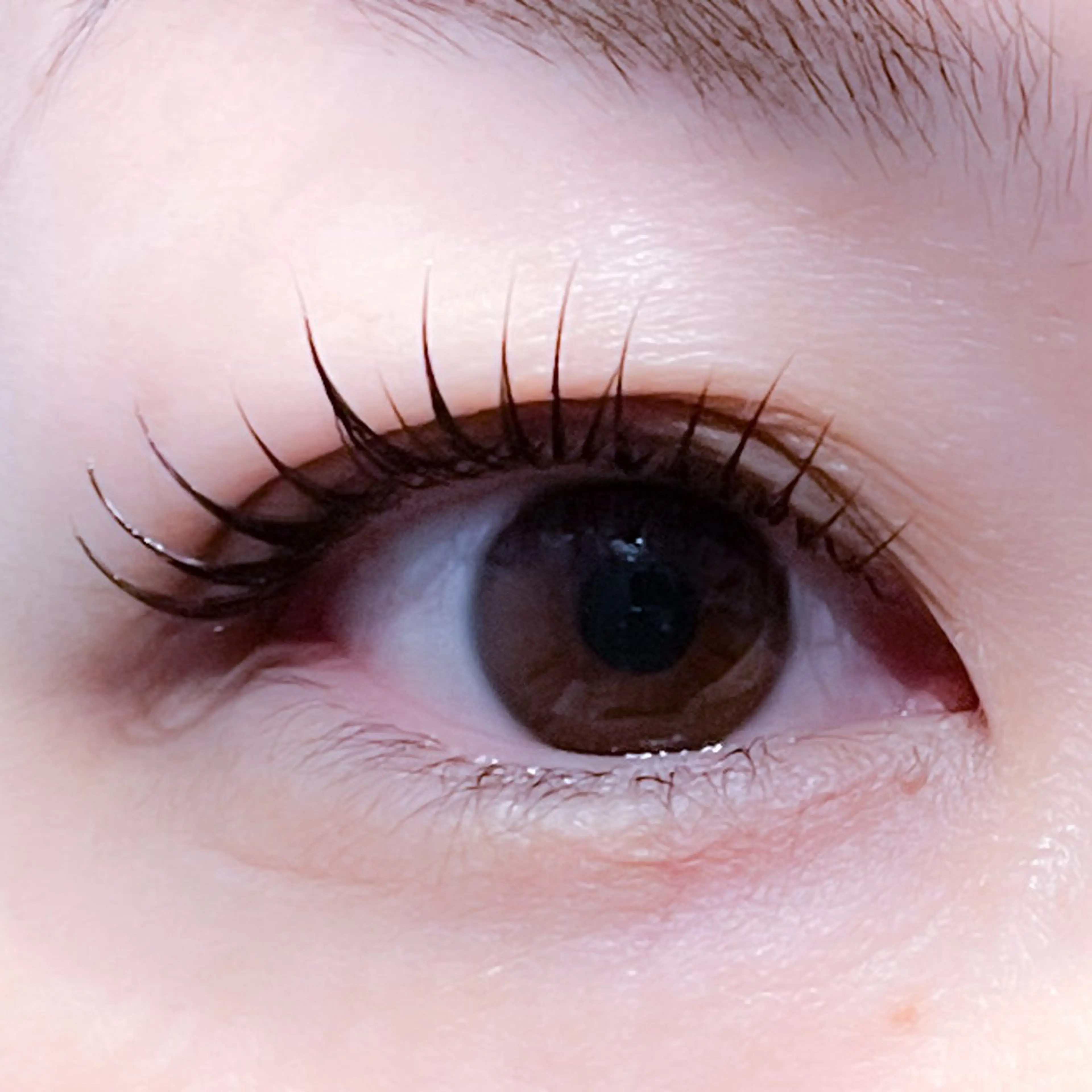 マツエク・マツパ 飯田/Tomo's HairDesignのマツエク・マツパデザイン