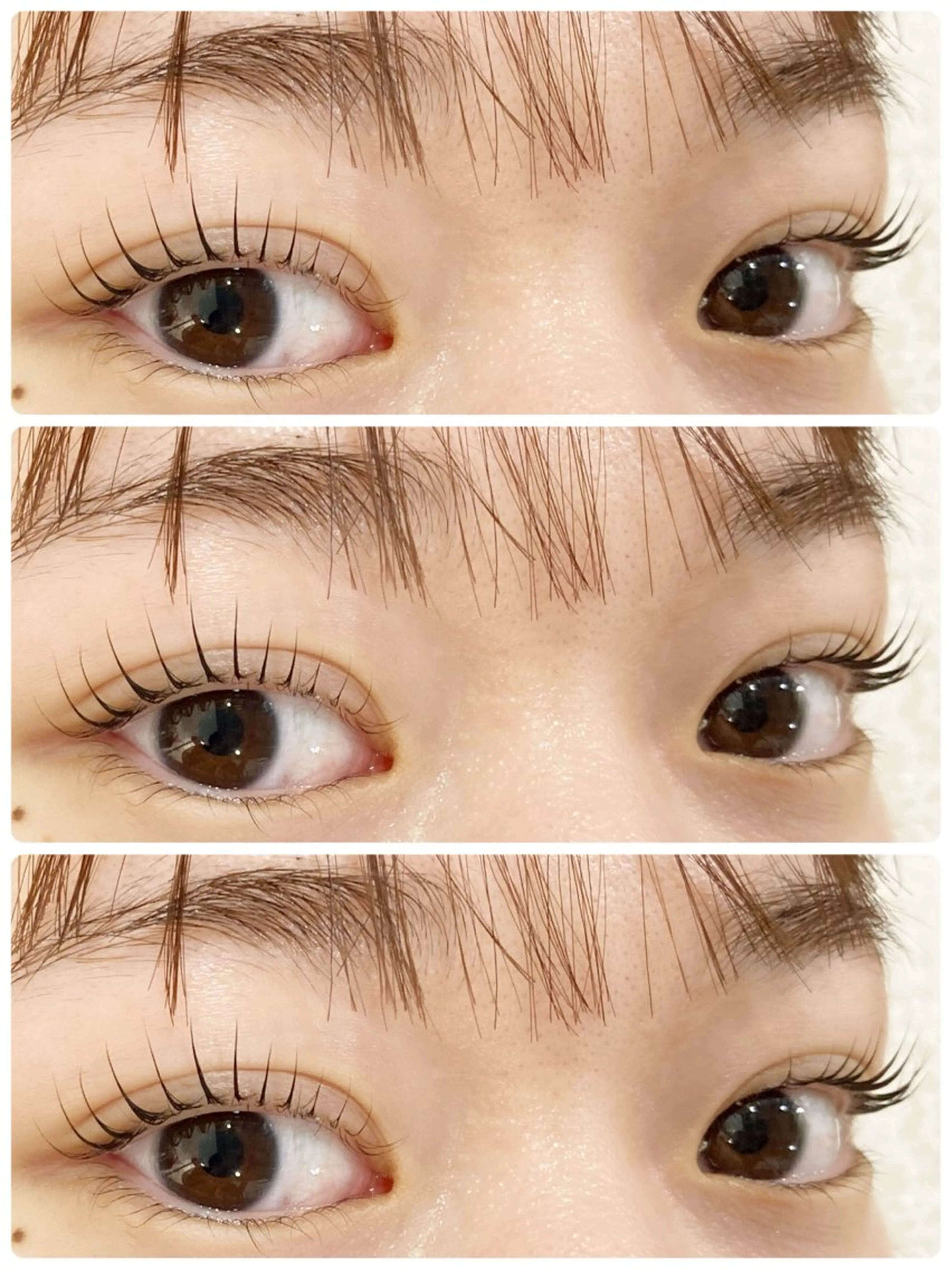 選べるまつ毛パーマ♪👀の写真