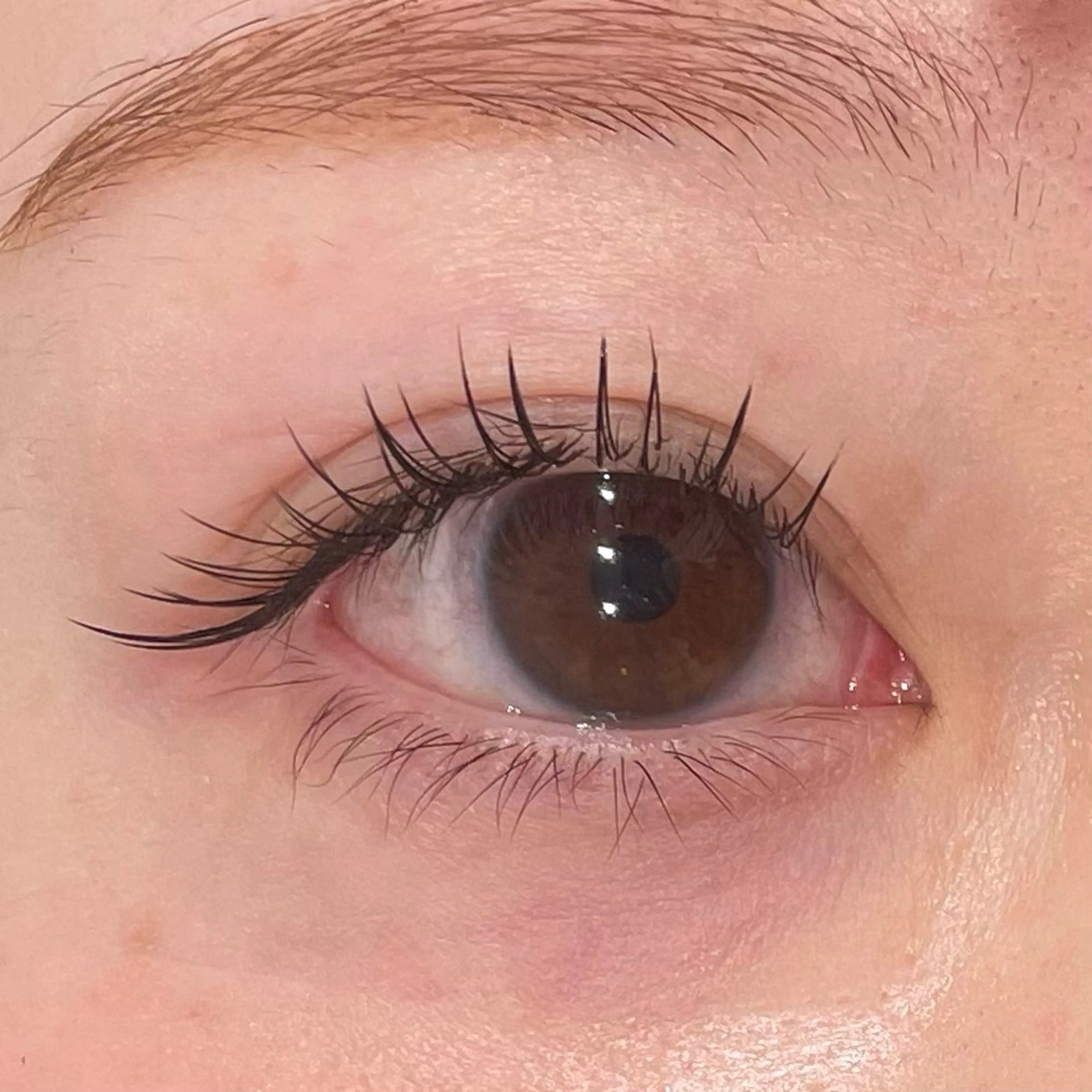 マツエク・マツパ Froh Ogasawaraのマツエク・マツパデザイン