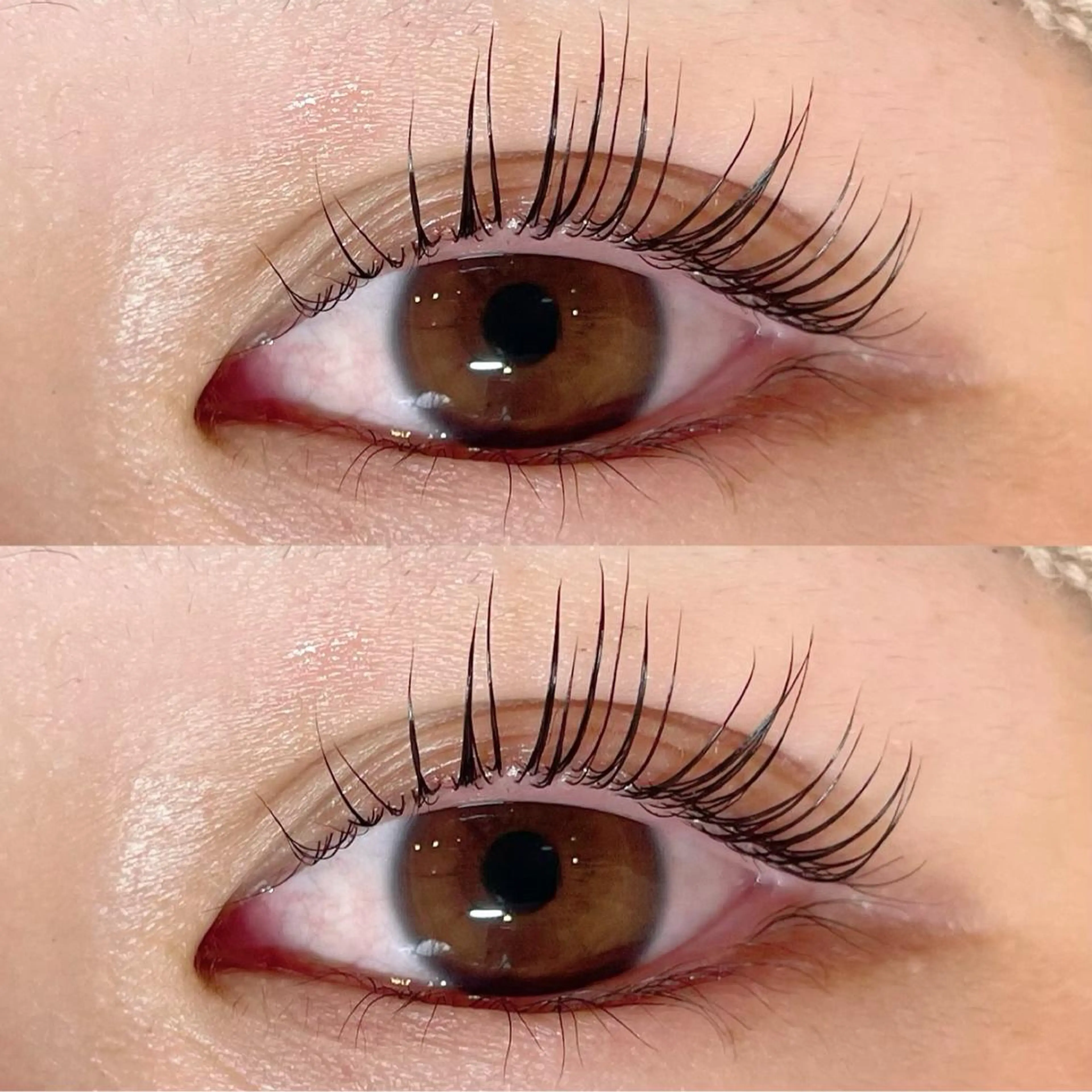 マツエク・マツパ まつげパーマ 🎀Sakura- blow京橋🎀のマツエク・マツパデザイン