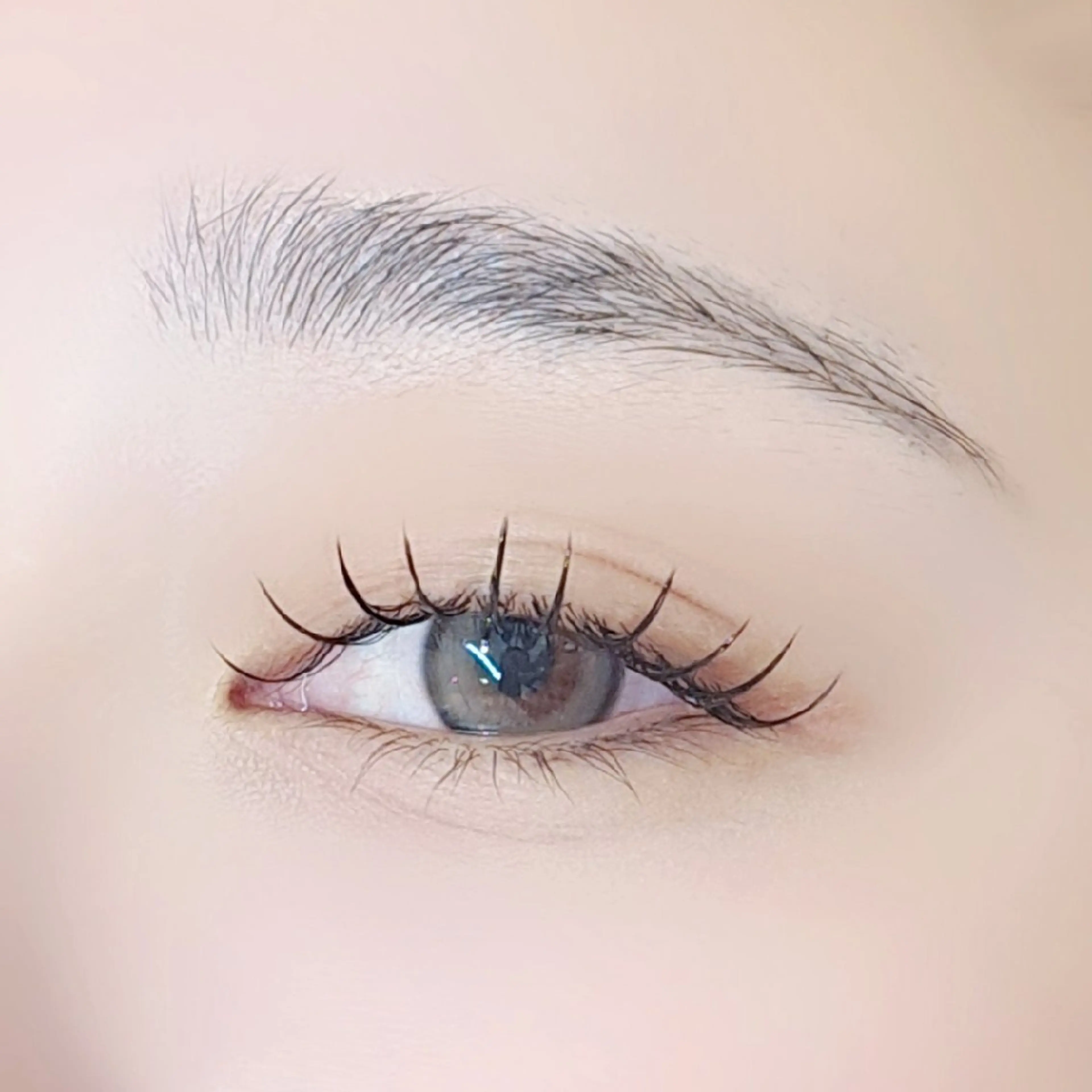 マツエク・マツパ Cカール マツエク 小林 さくら子のマツエク・マツパデザイン