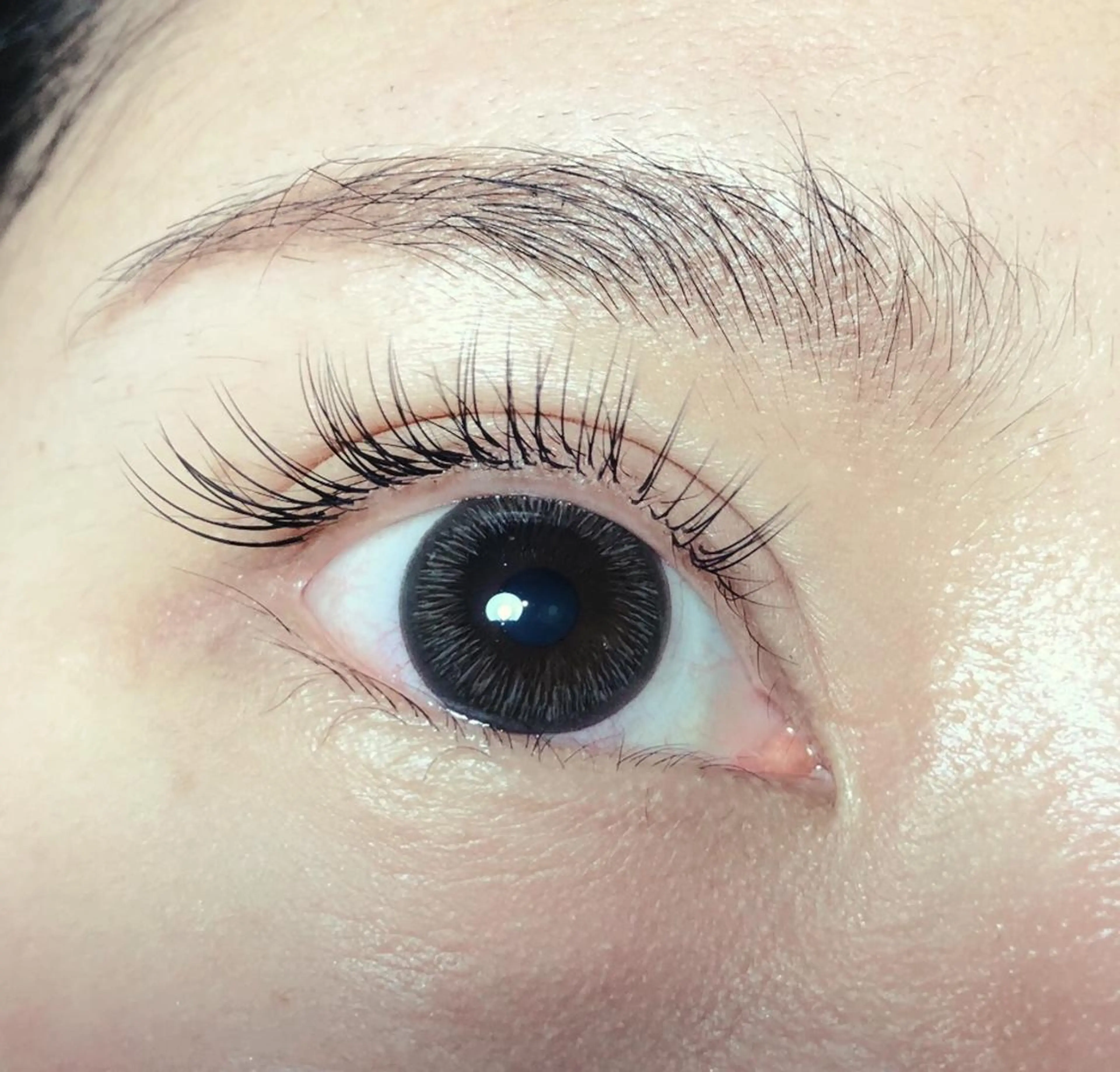 マツエク・マツパ Biolus／天王寺 2号店🌸noa🌸のマツエク・マツパデザイン