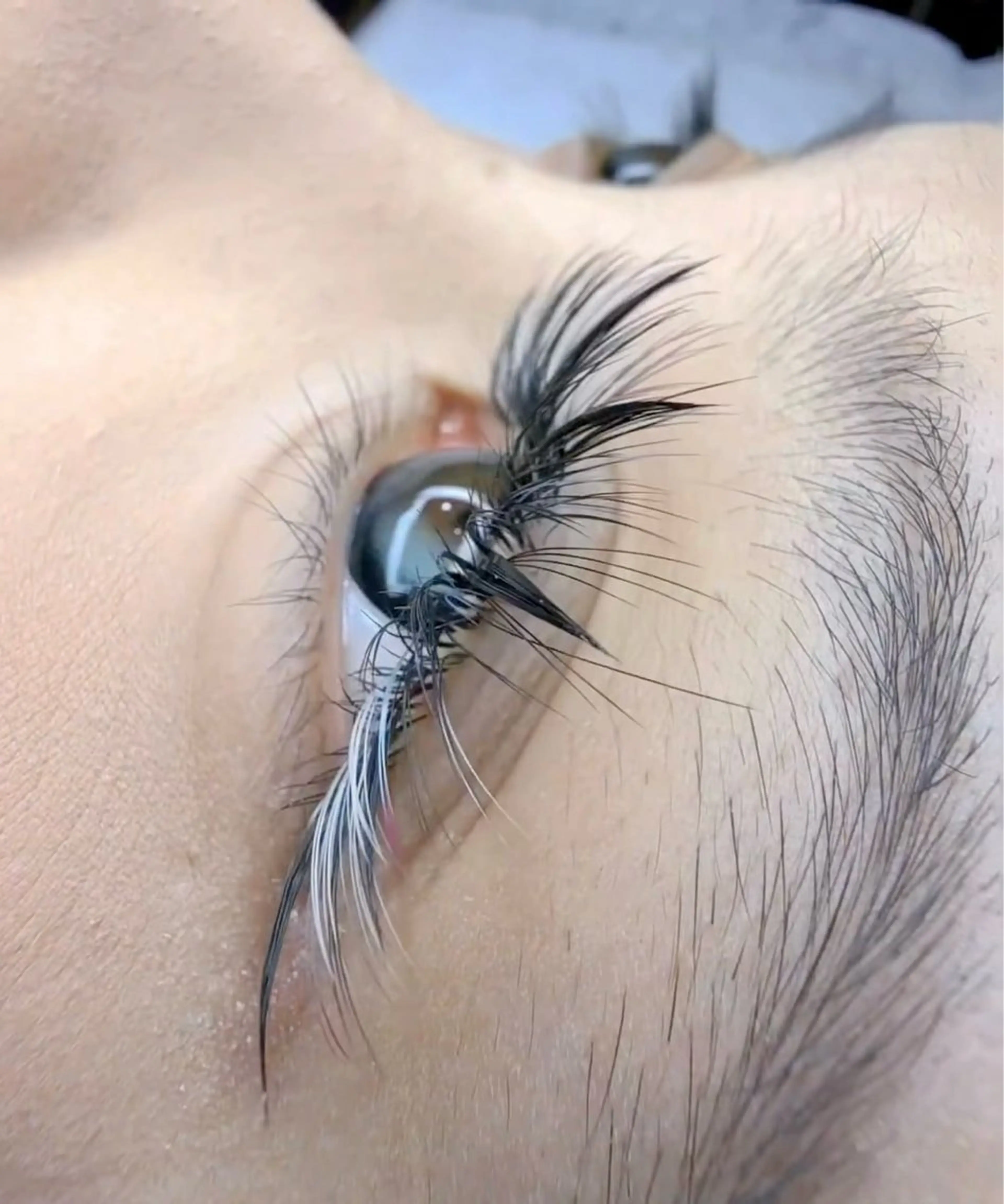 マツエク・マツパ APEX BEAUTYのマツエク・マツパデザイン